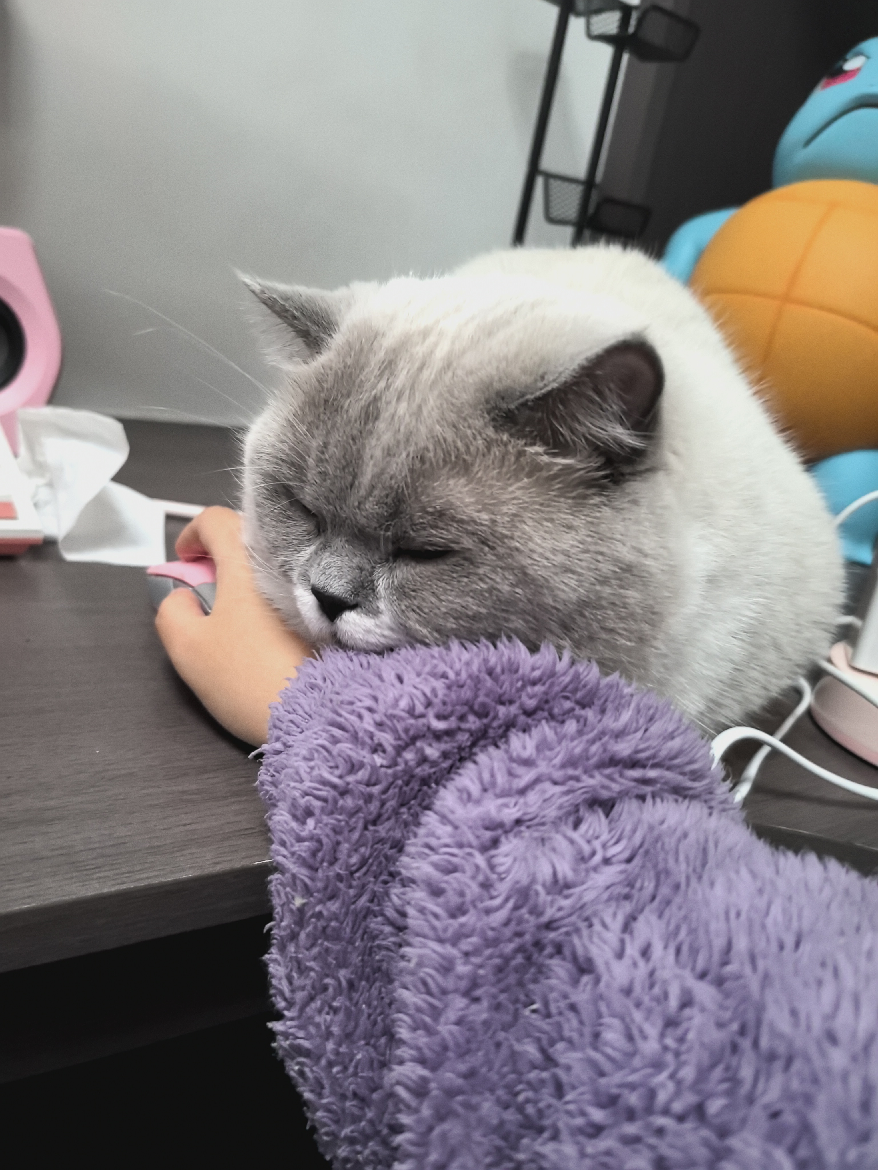 图片附件