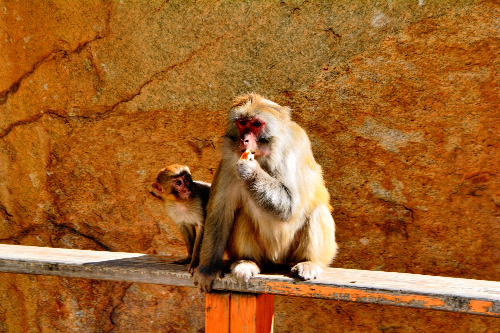 臧酋猴,旅途，在意的是沿途的风景,雅鲁藏布江,一个人的旅行,骑行
