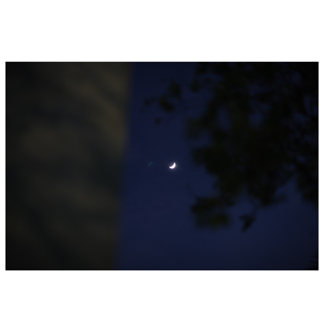 月球上的樹🏕️日常,我要上热Soul,SSR计划,今晚月亮不营业了 我来说晚安,摄影