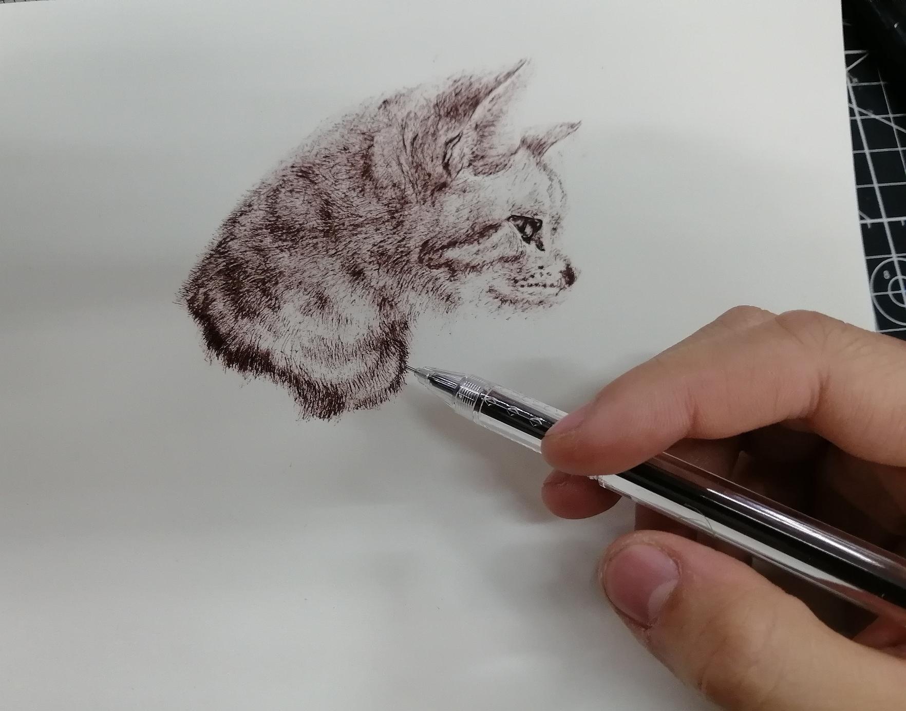 江南の加仑,拖把,手绘猫狗大赛,何以解忧，唯有撸猫,钢笔画