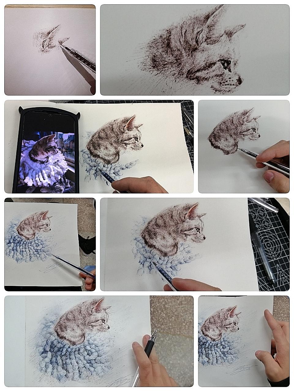江南の加仑,拖把,手绘猫狗大赛,何以解忧，唯有撸猫,钢笔画
