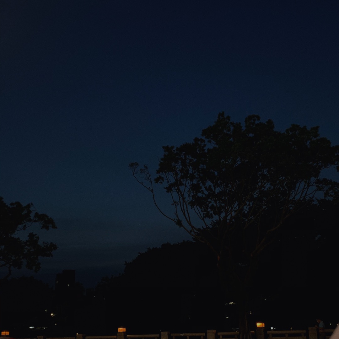 月球上的樹🏕️日常,摄影日志,手机摄影随手拍,一直在等待,一个人去看电影