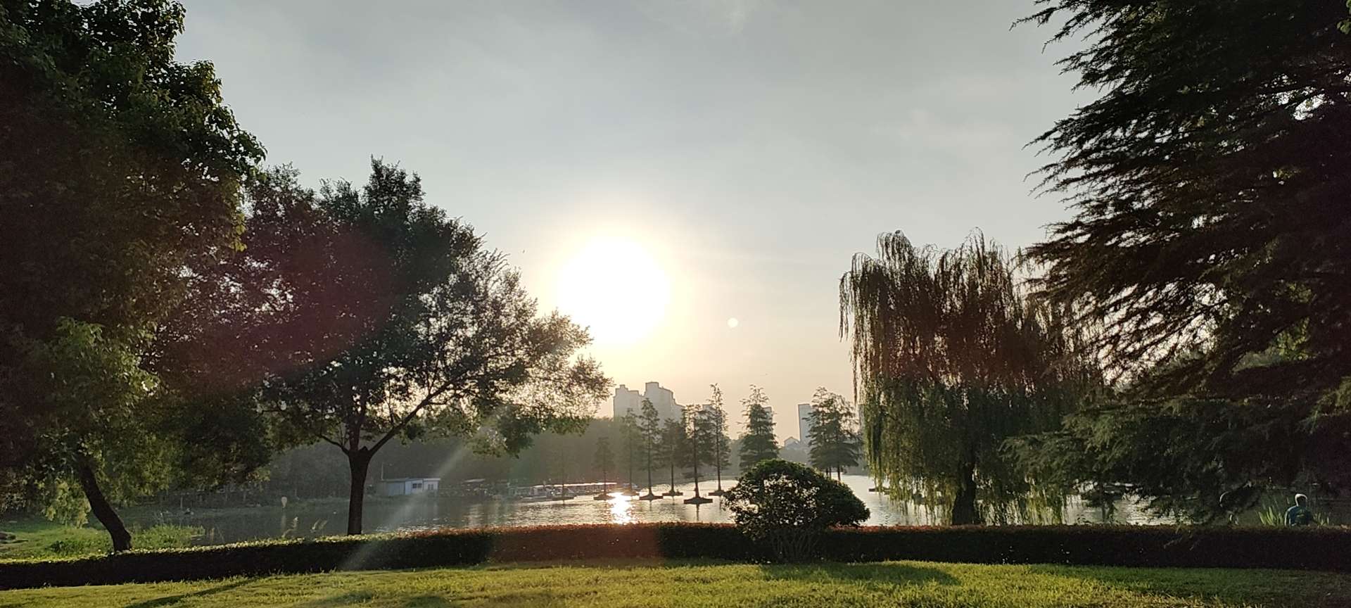 求助万能的soul友,溃疡,医生 求助万能的soul友,溃疡,医生