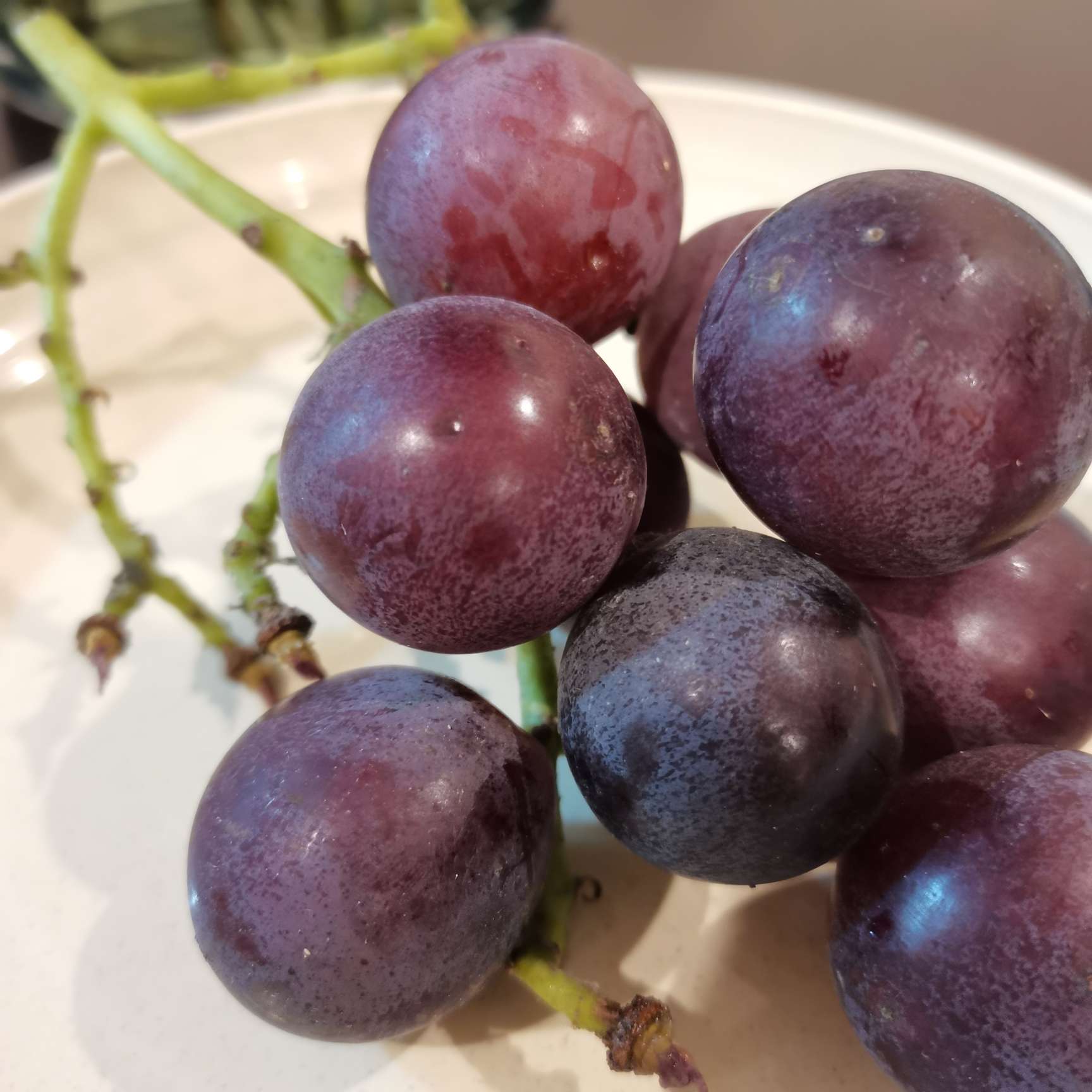 今日份开心🎈,机智如我 今日份开心🎈,机智如我