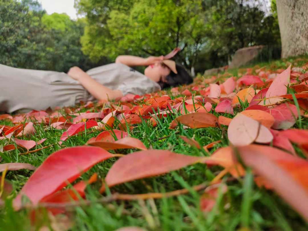 我太难了呜呜呜,失眠拯救计划,失眠失眠失眠求助,好困啊好累啊好想睡觉啊 我太难了呜呜呜,失眠拯救计划,失眠失眠失眠求助,好困啊好累啊好想睡觉啊