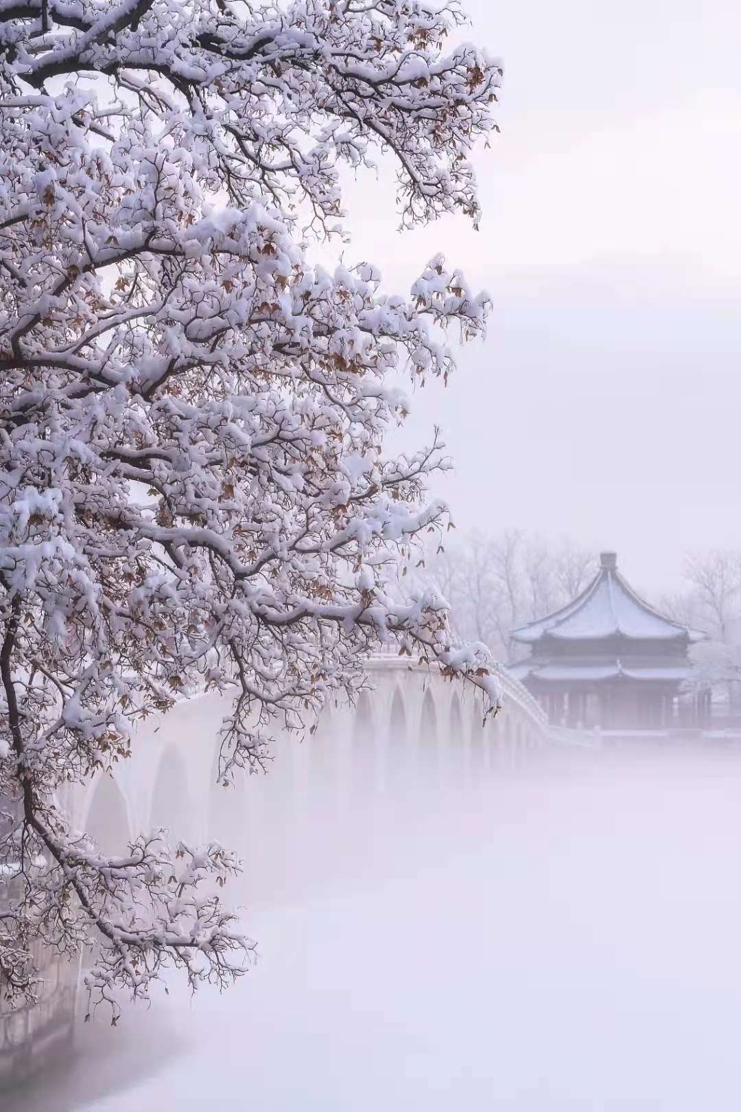 2022年第一场雪,一下雪北京就成了北平,交朋友