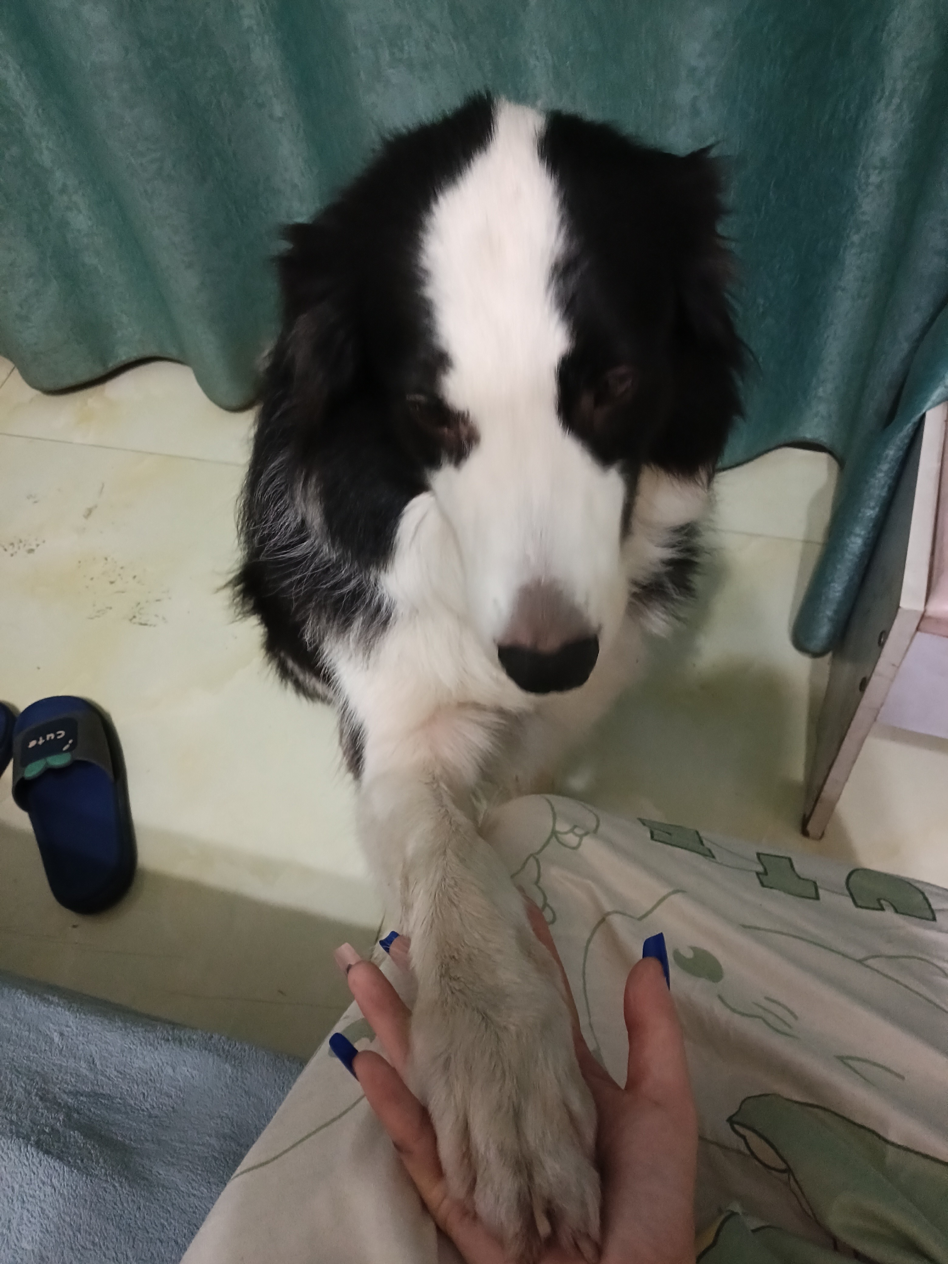 图片附件