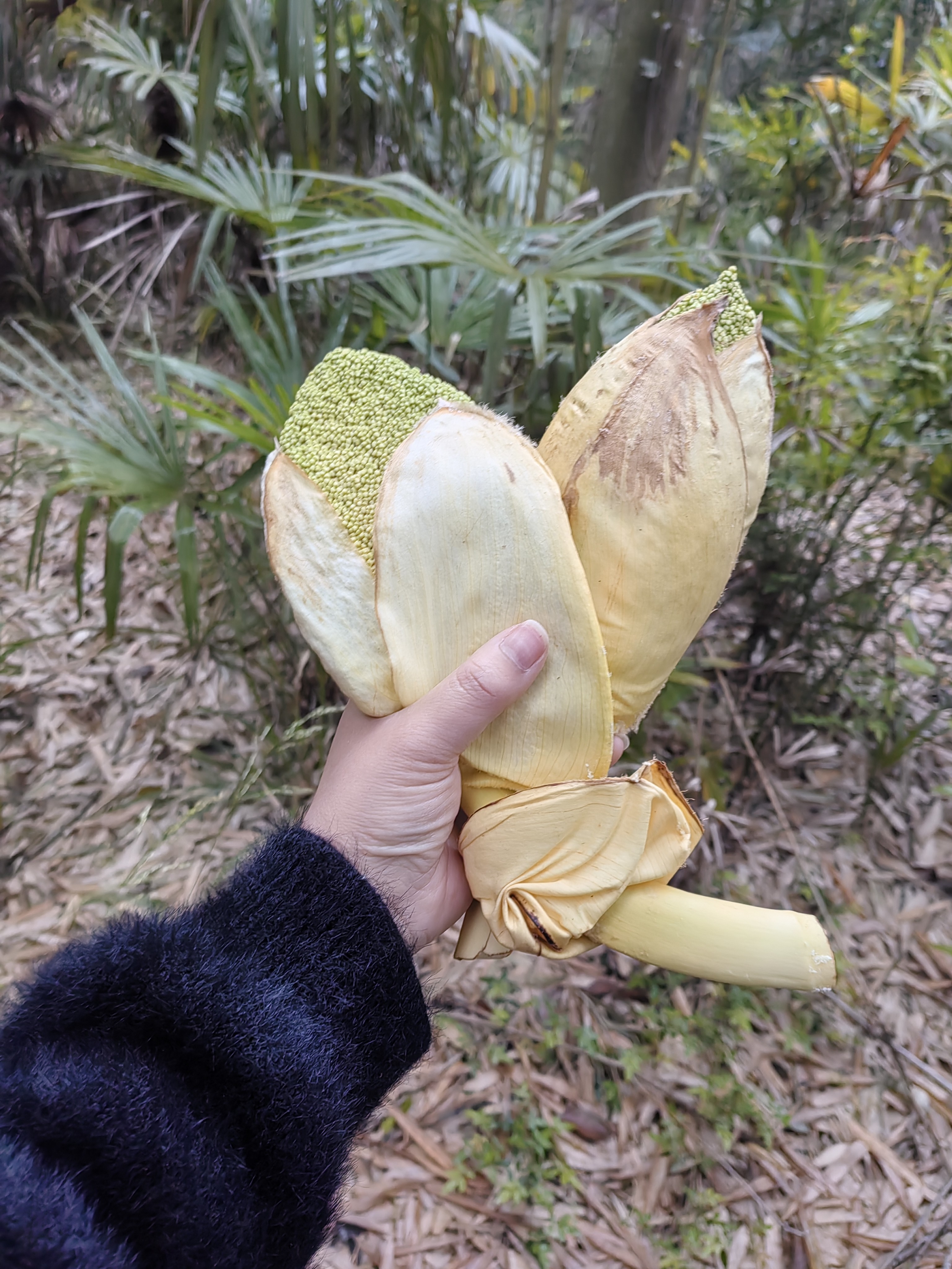 图片附件