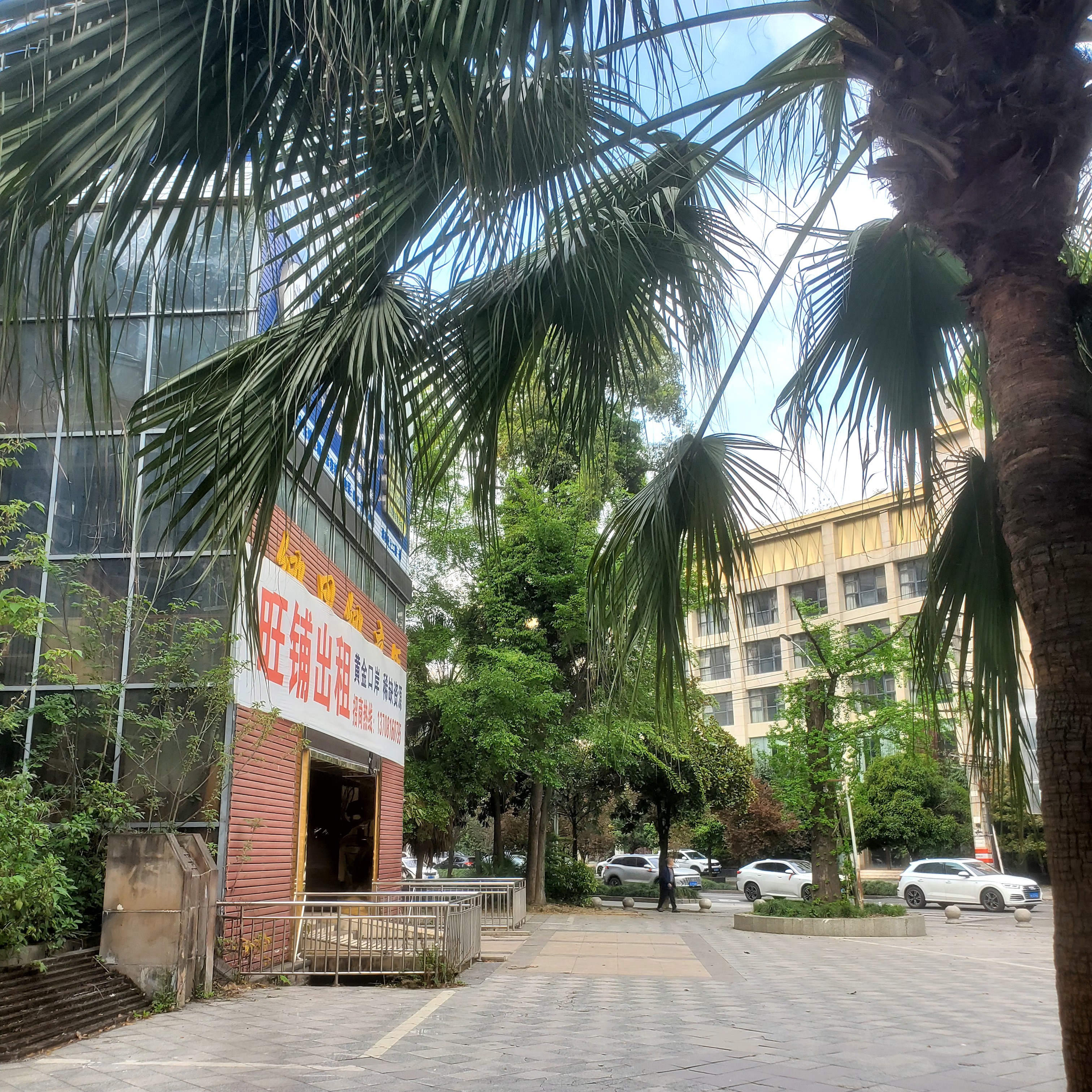 图片附件