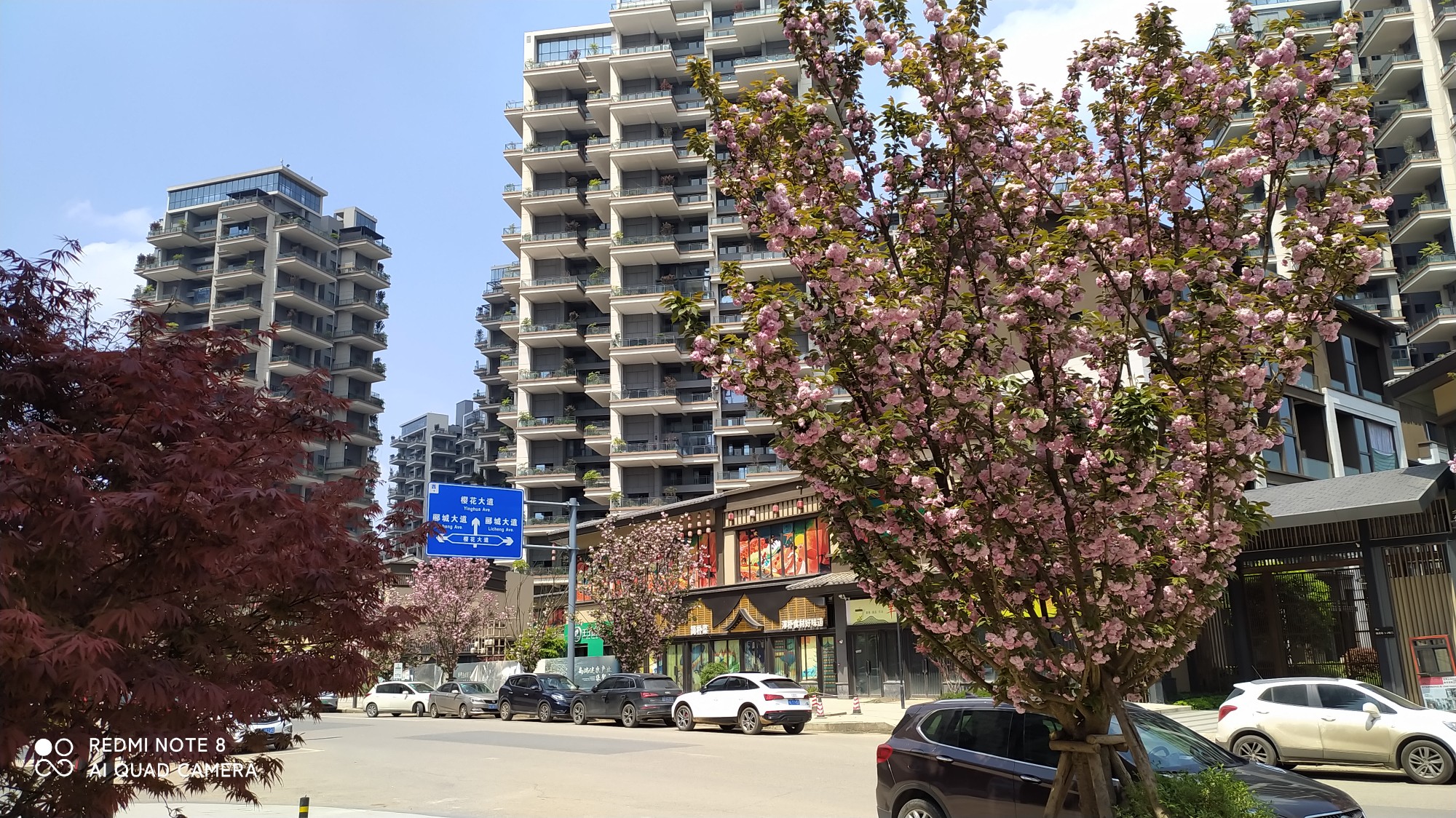 图片附件