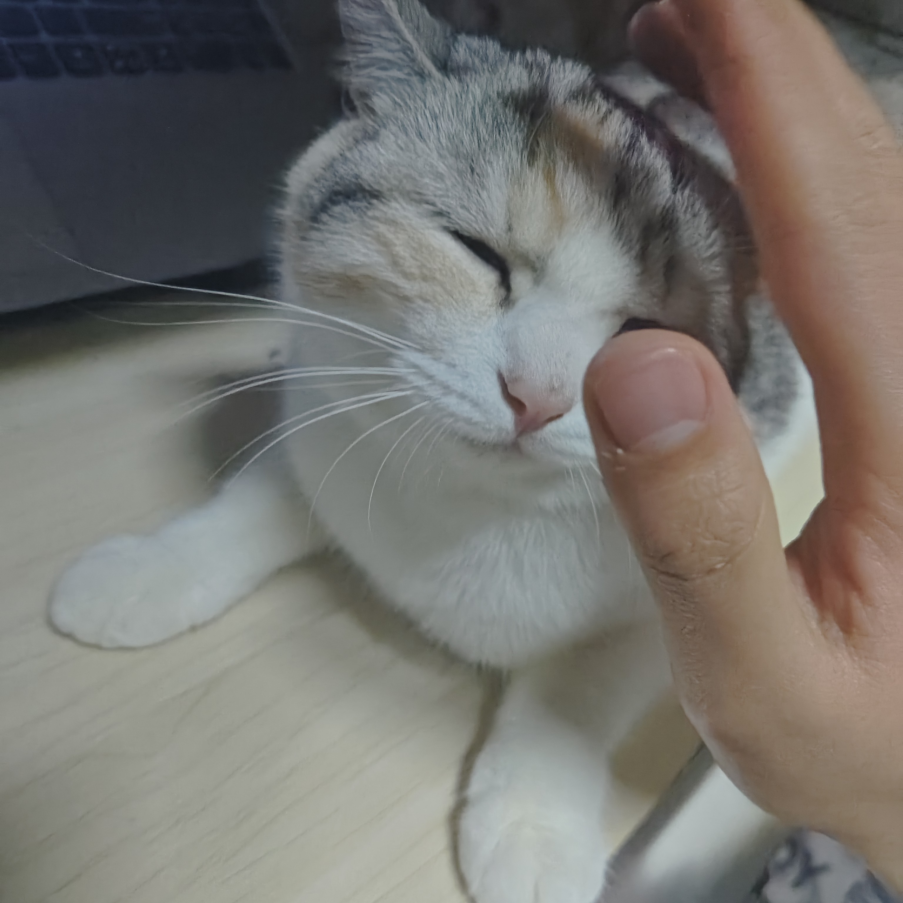 图片附件