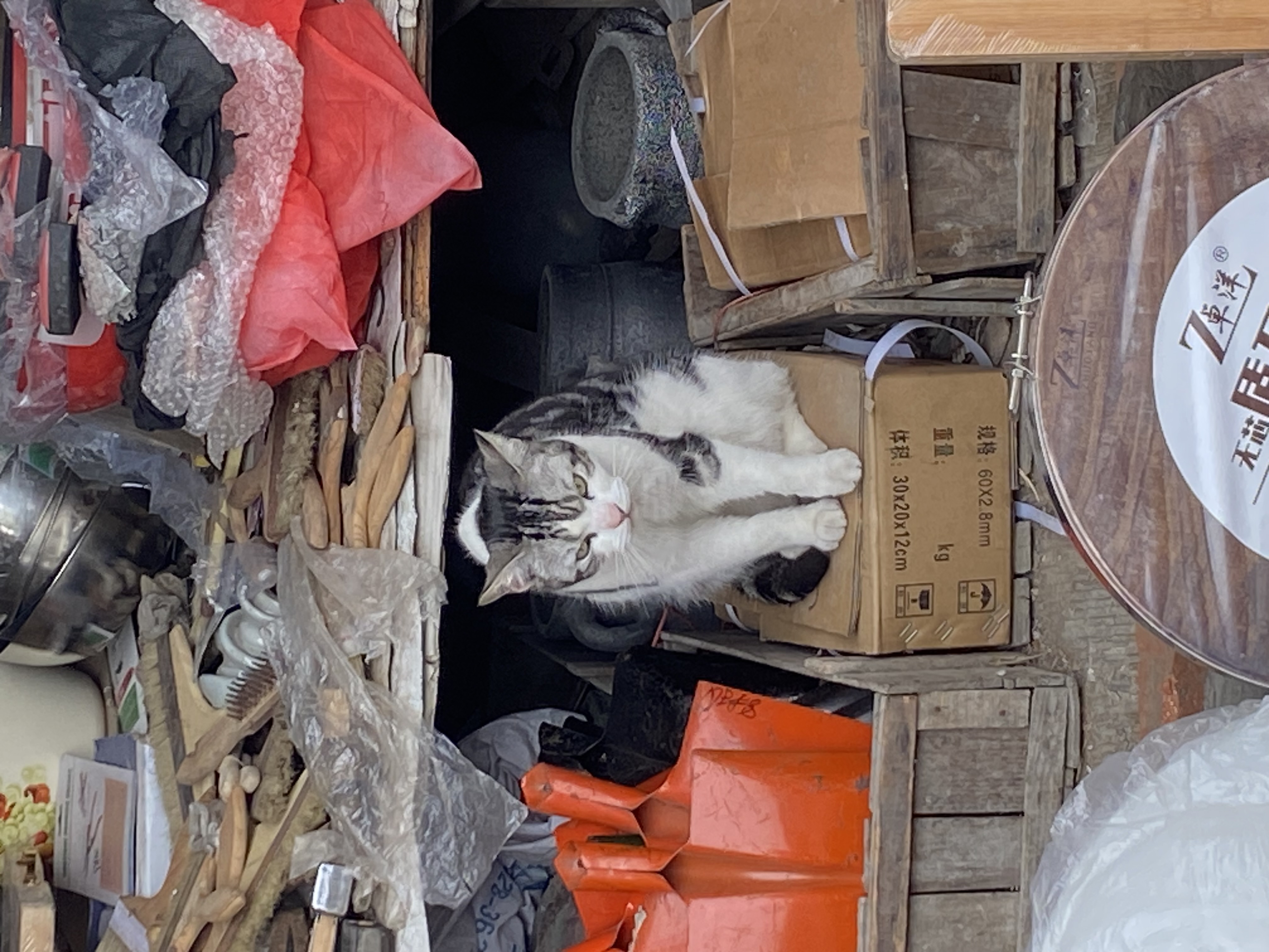 图片附件