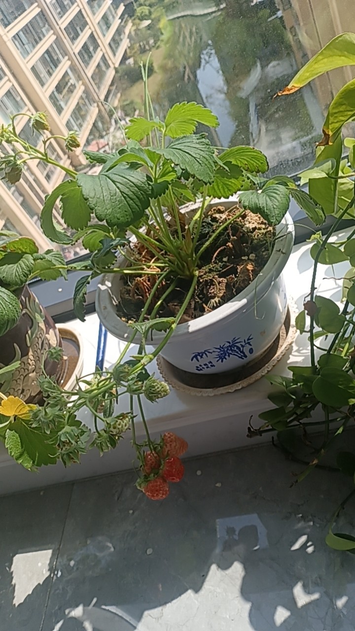 图片附件