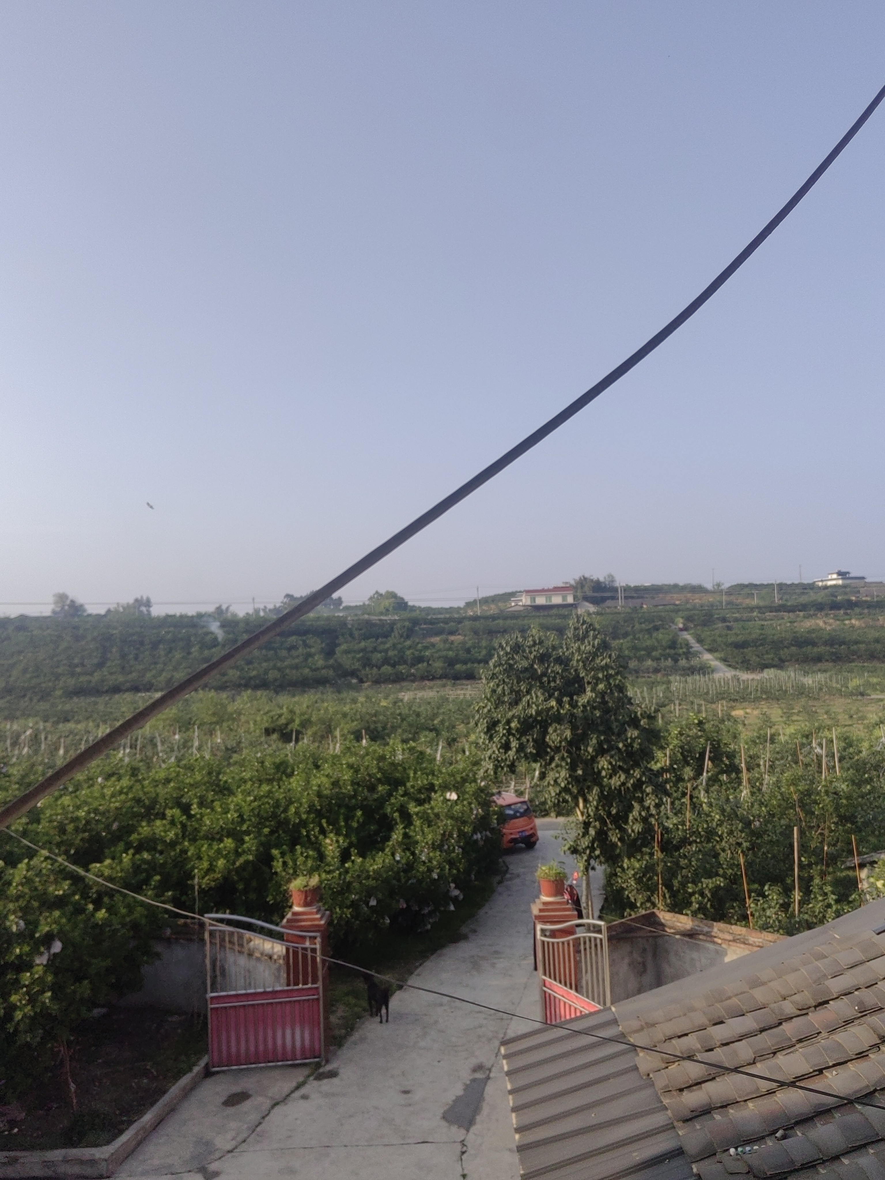 图片附件
