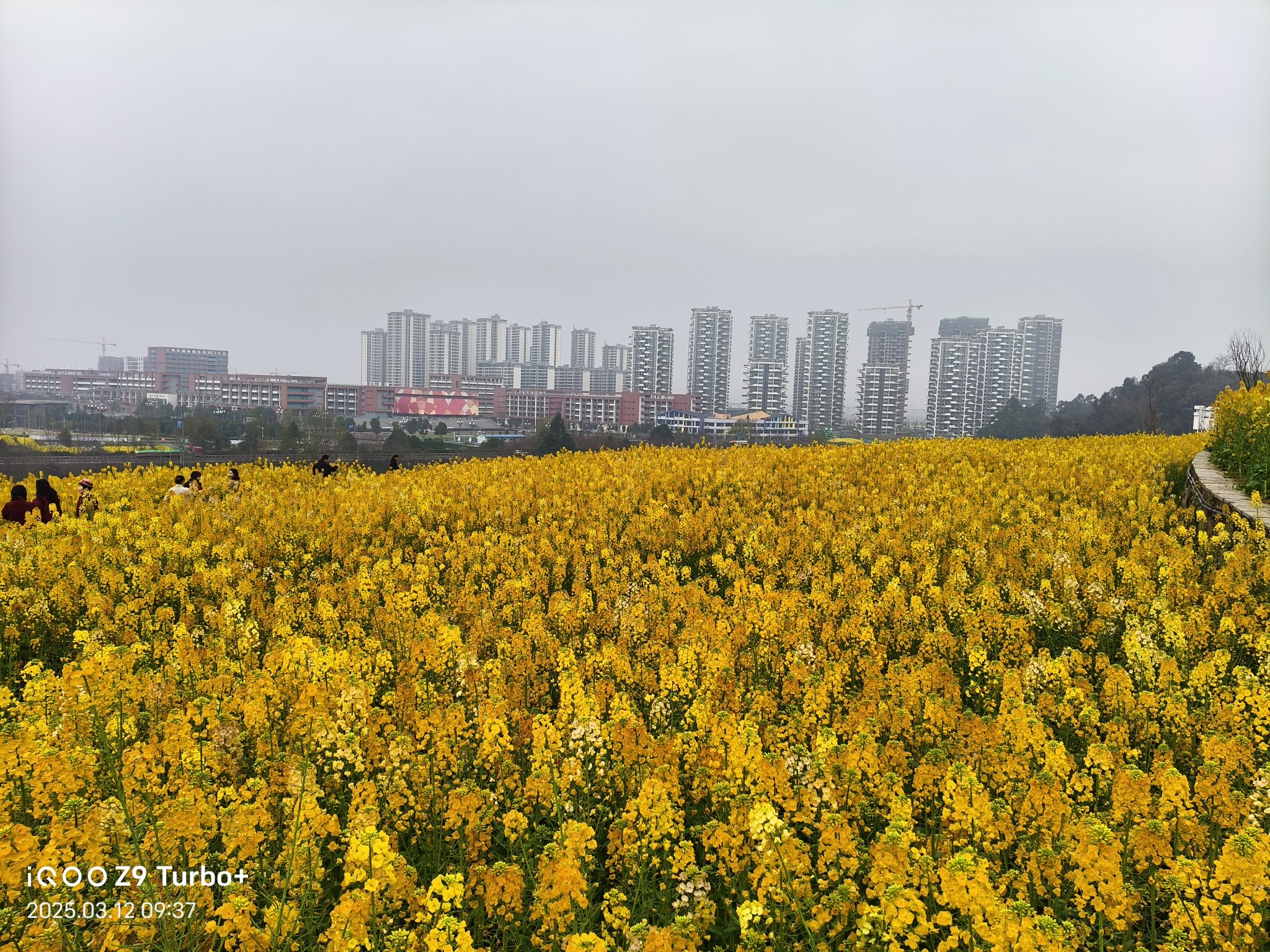 图片附件