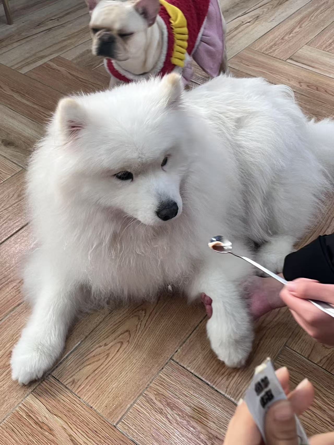 图片附件