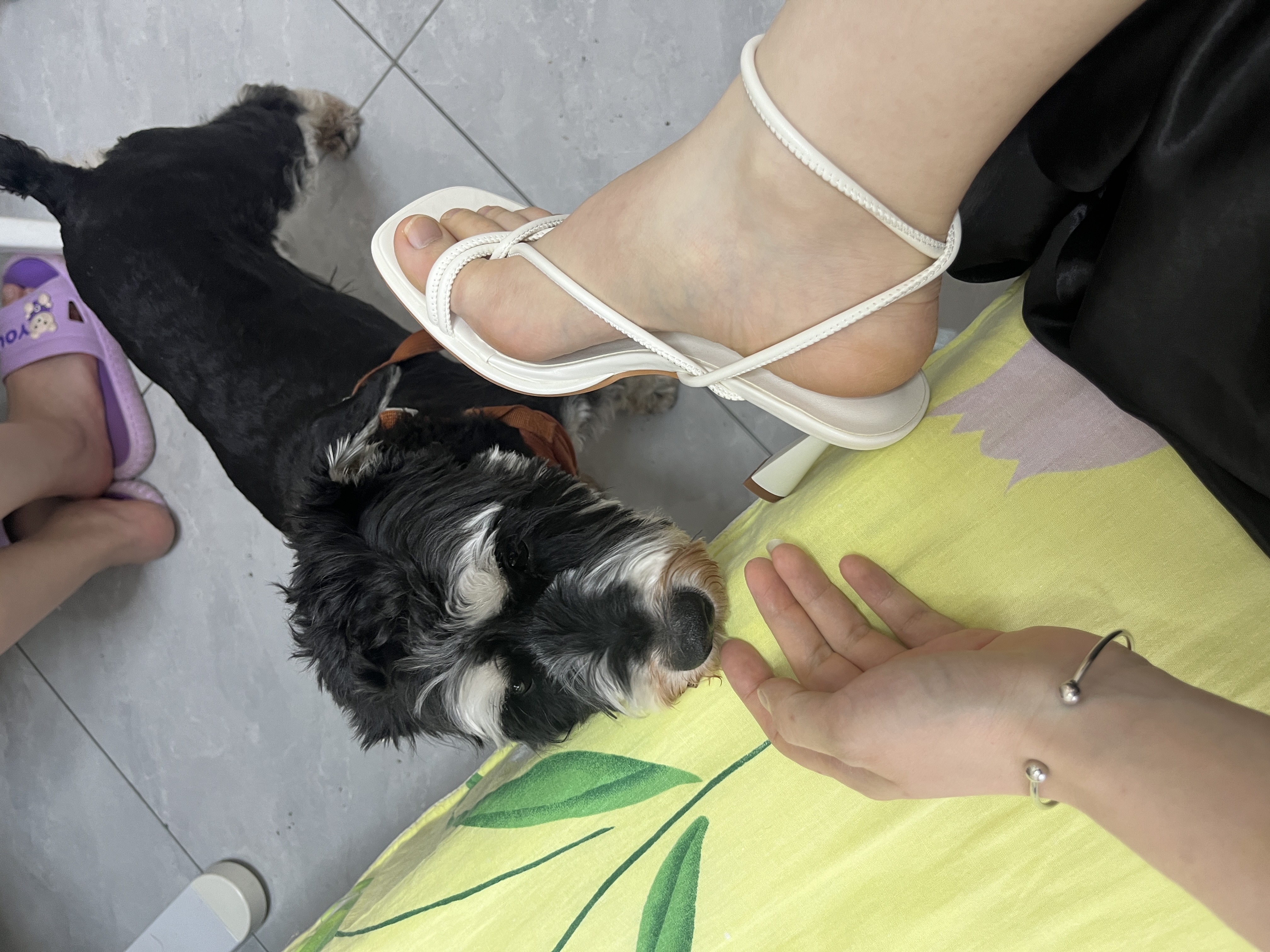 图片附件