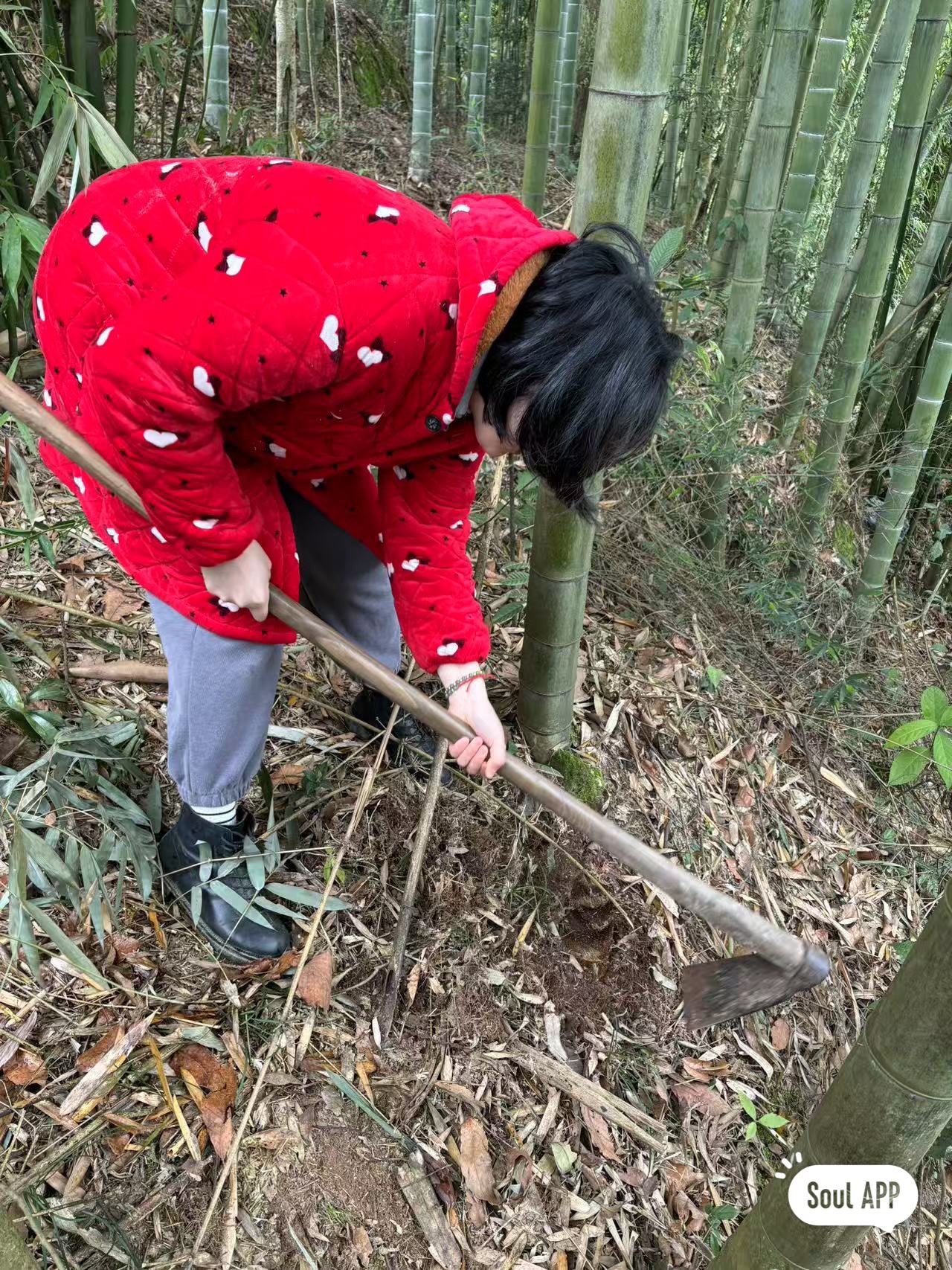 图片附件