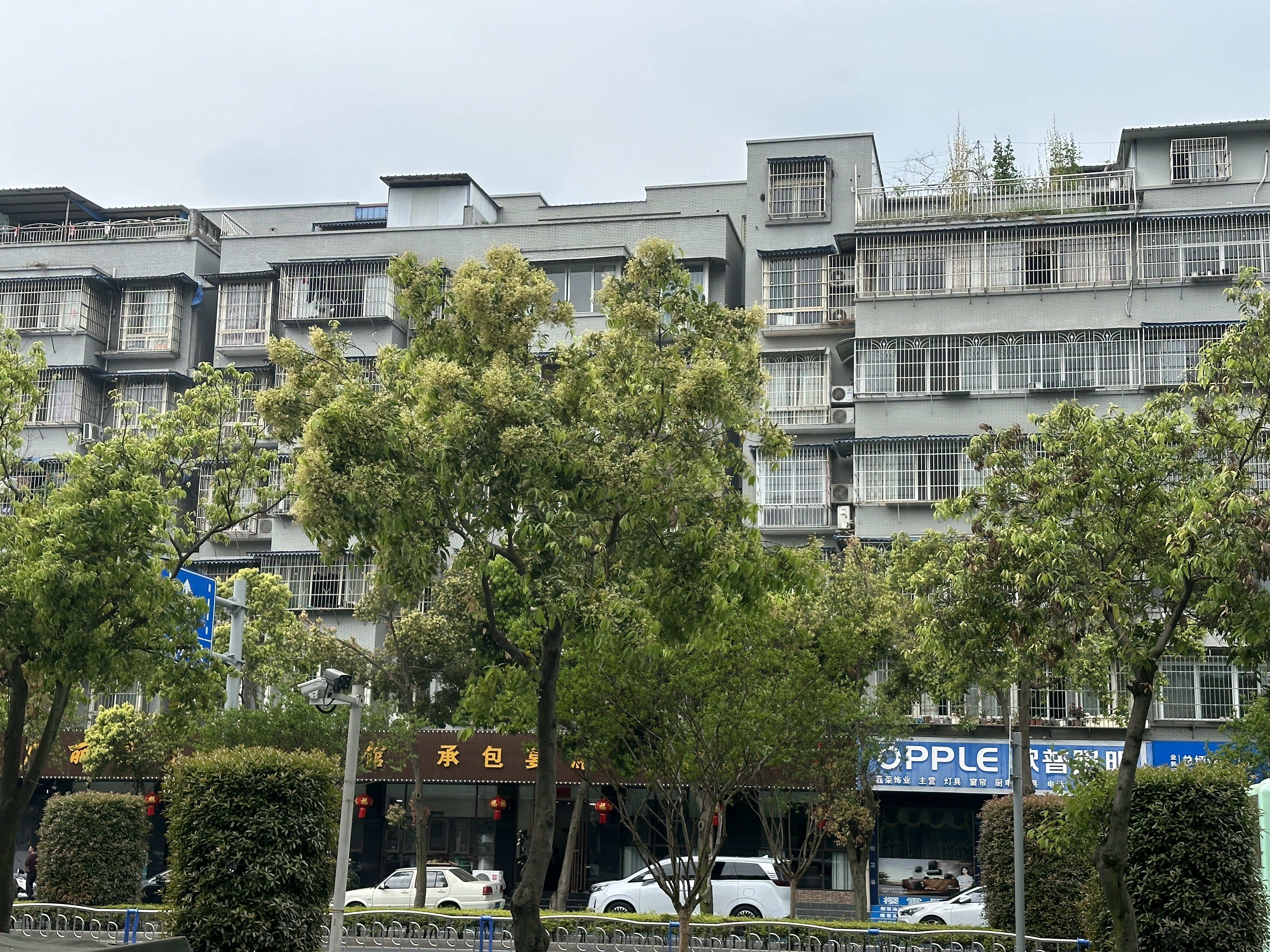 图片附件