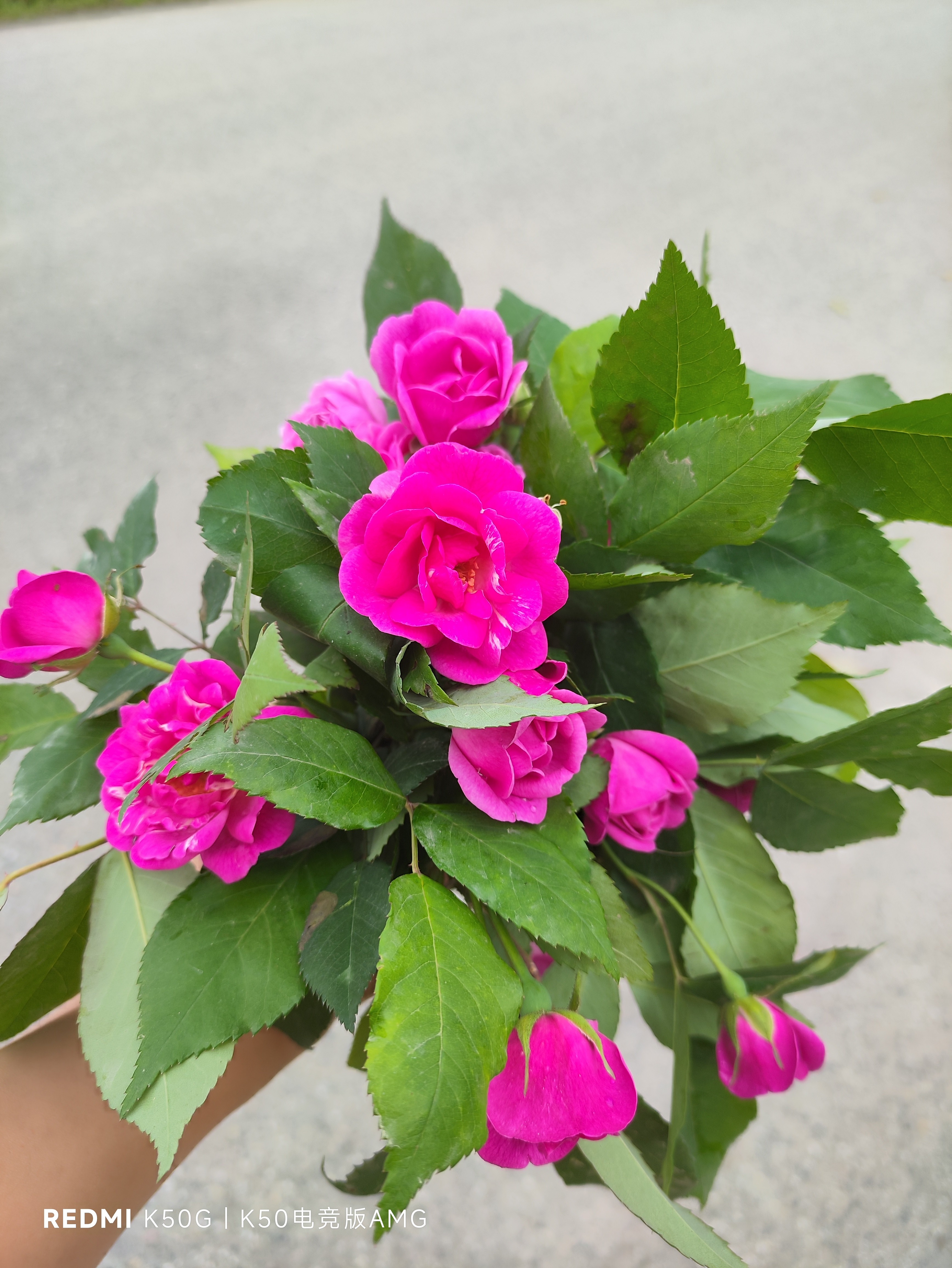 图片附件