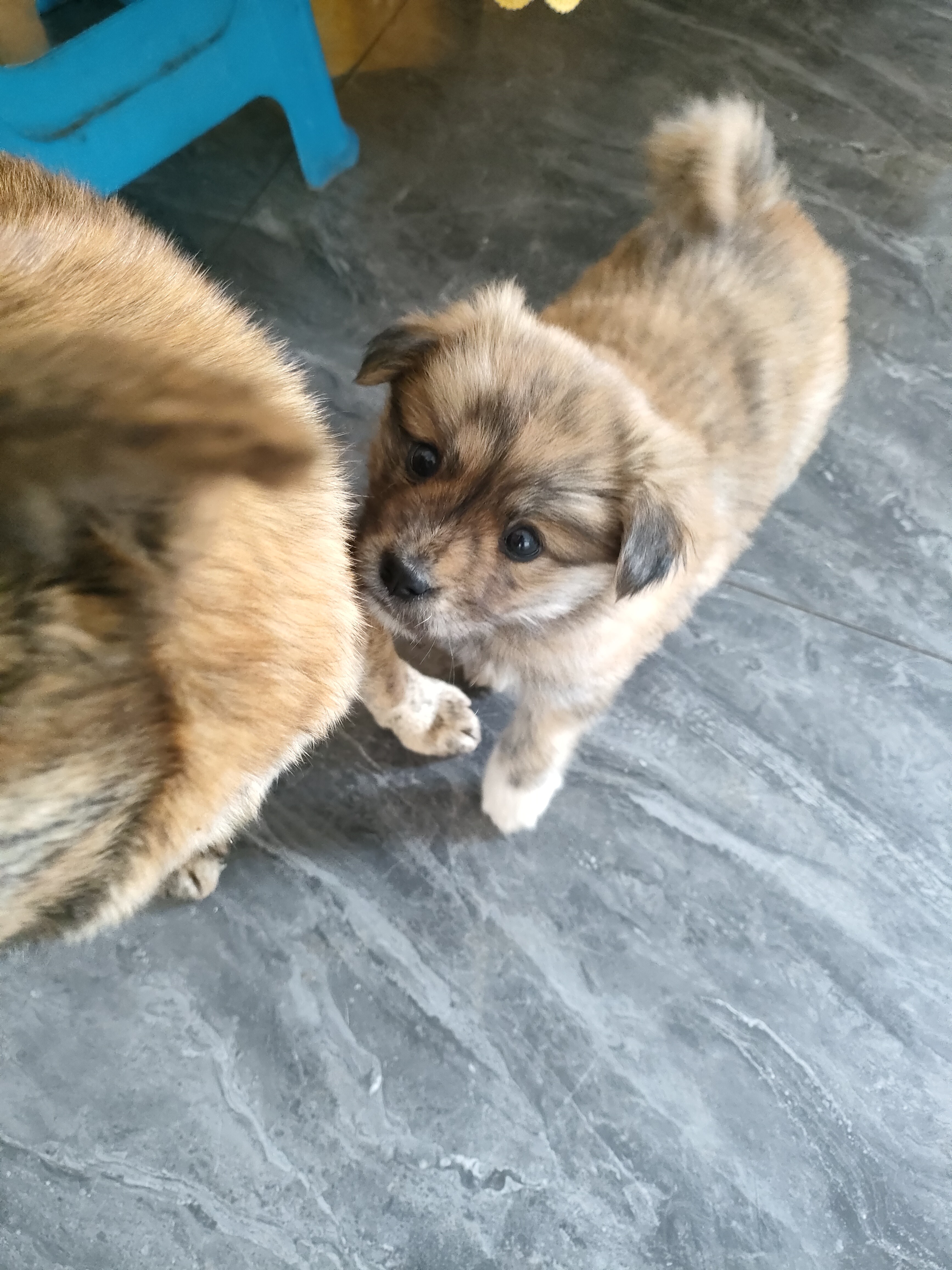图片附件
