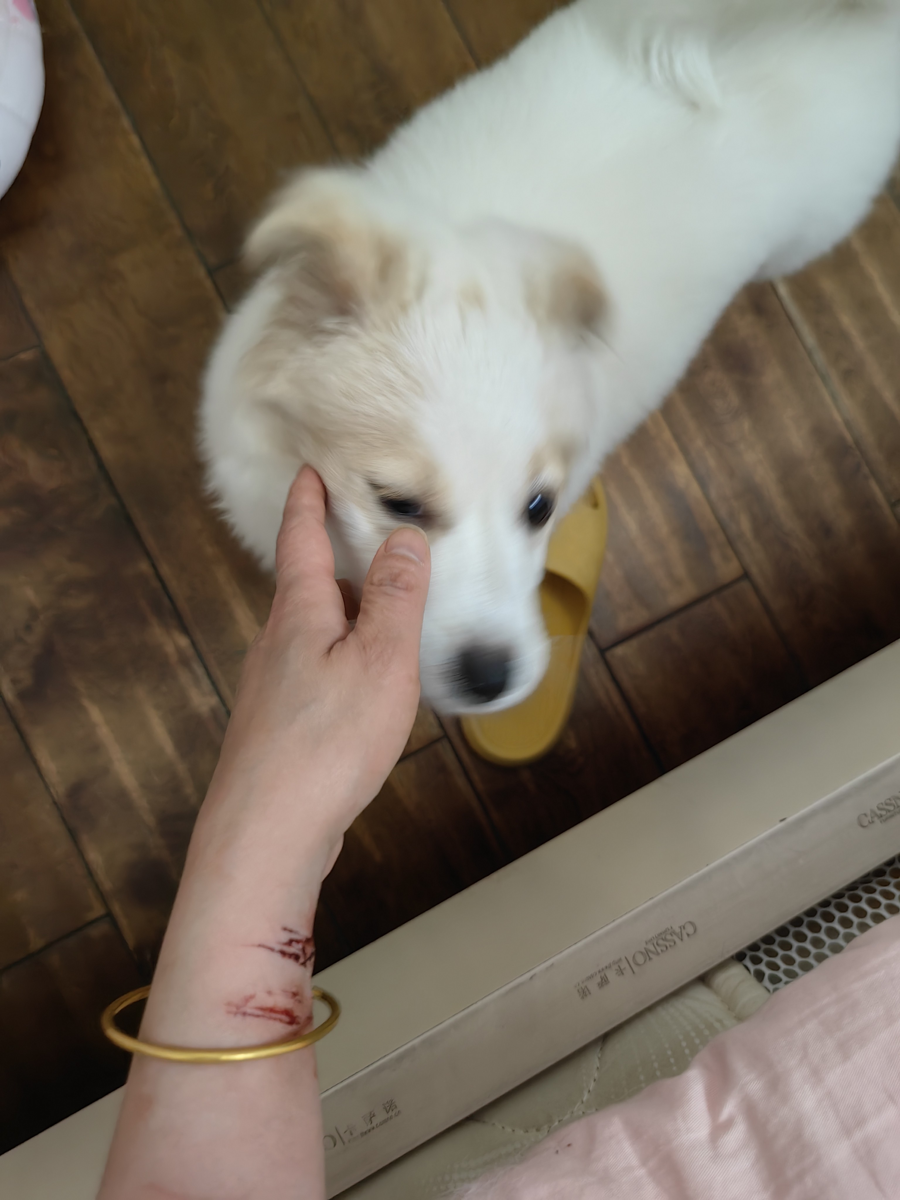 图片附件
