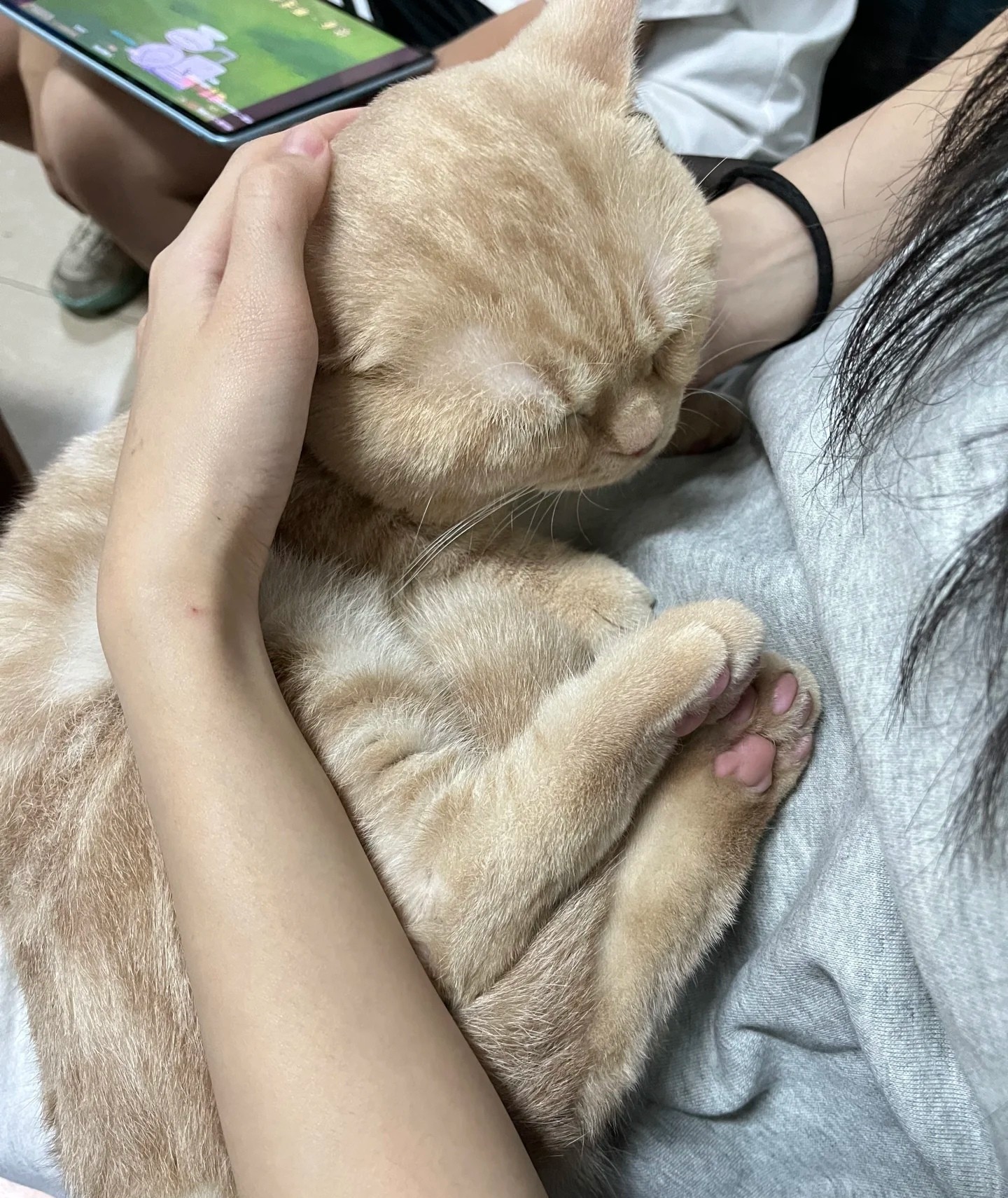 图片附件