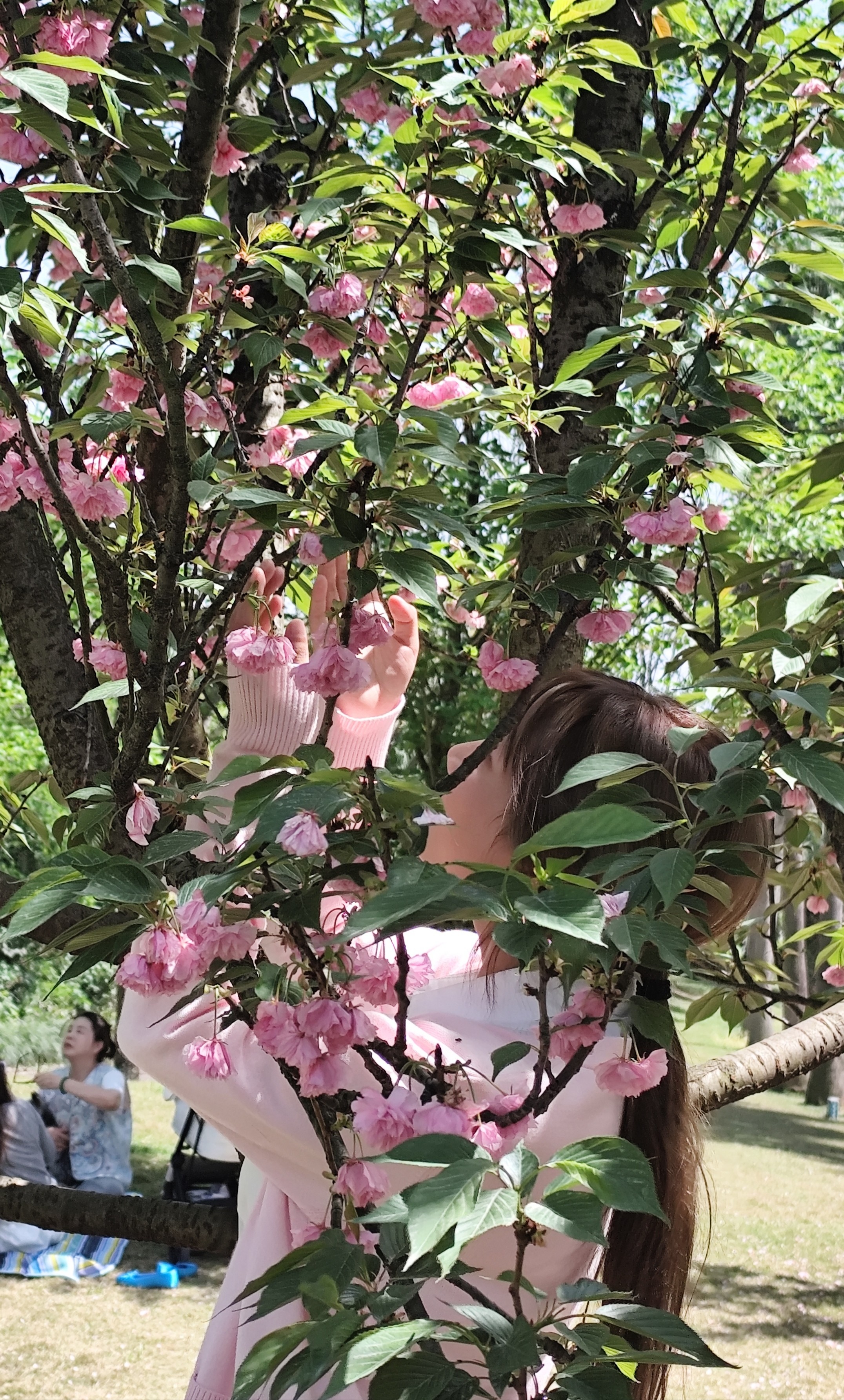 图片附件