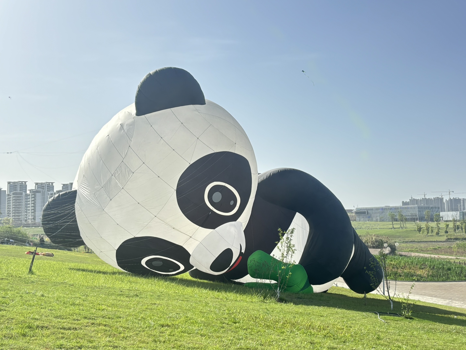 图片附件