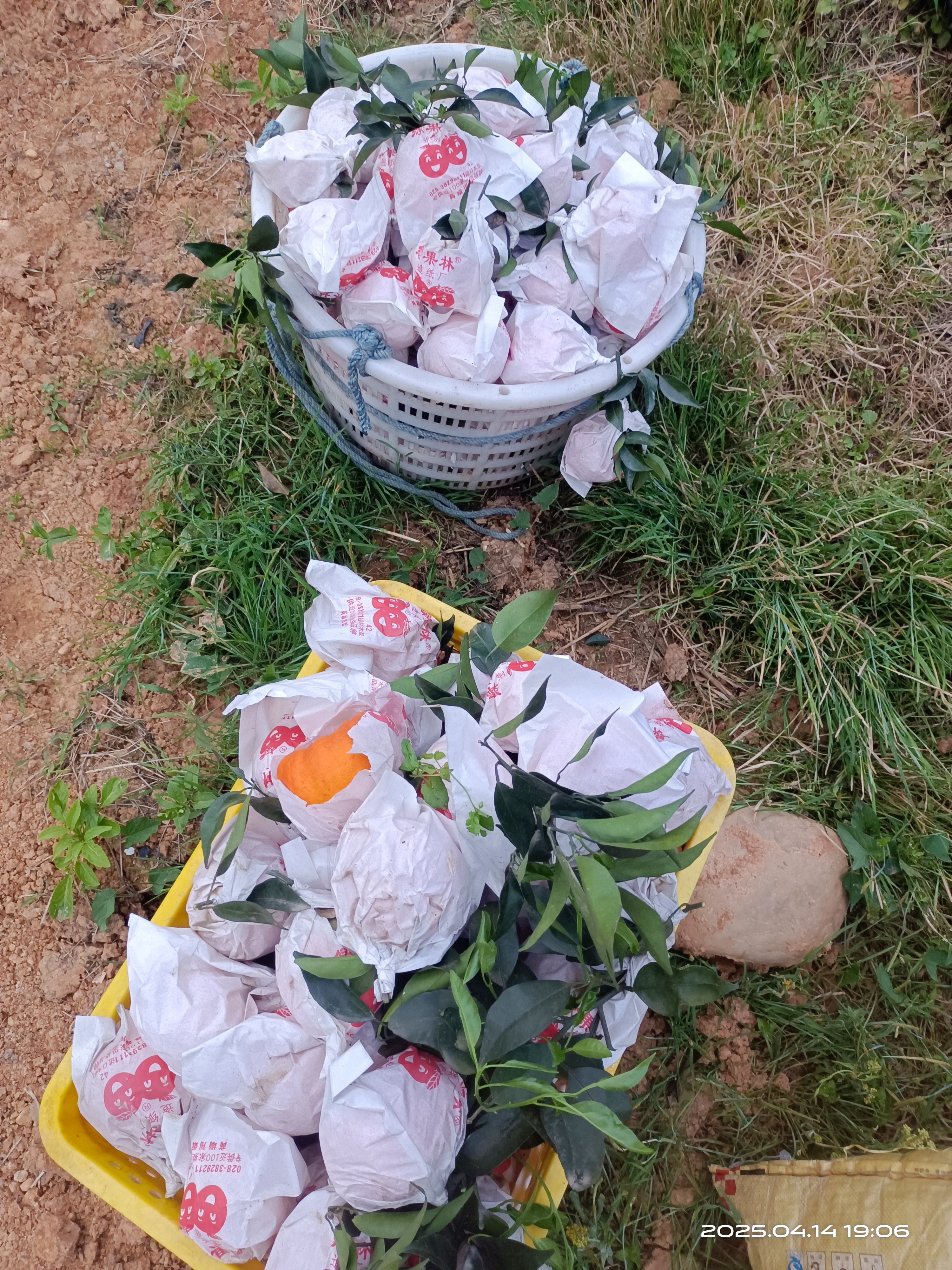 图片附件