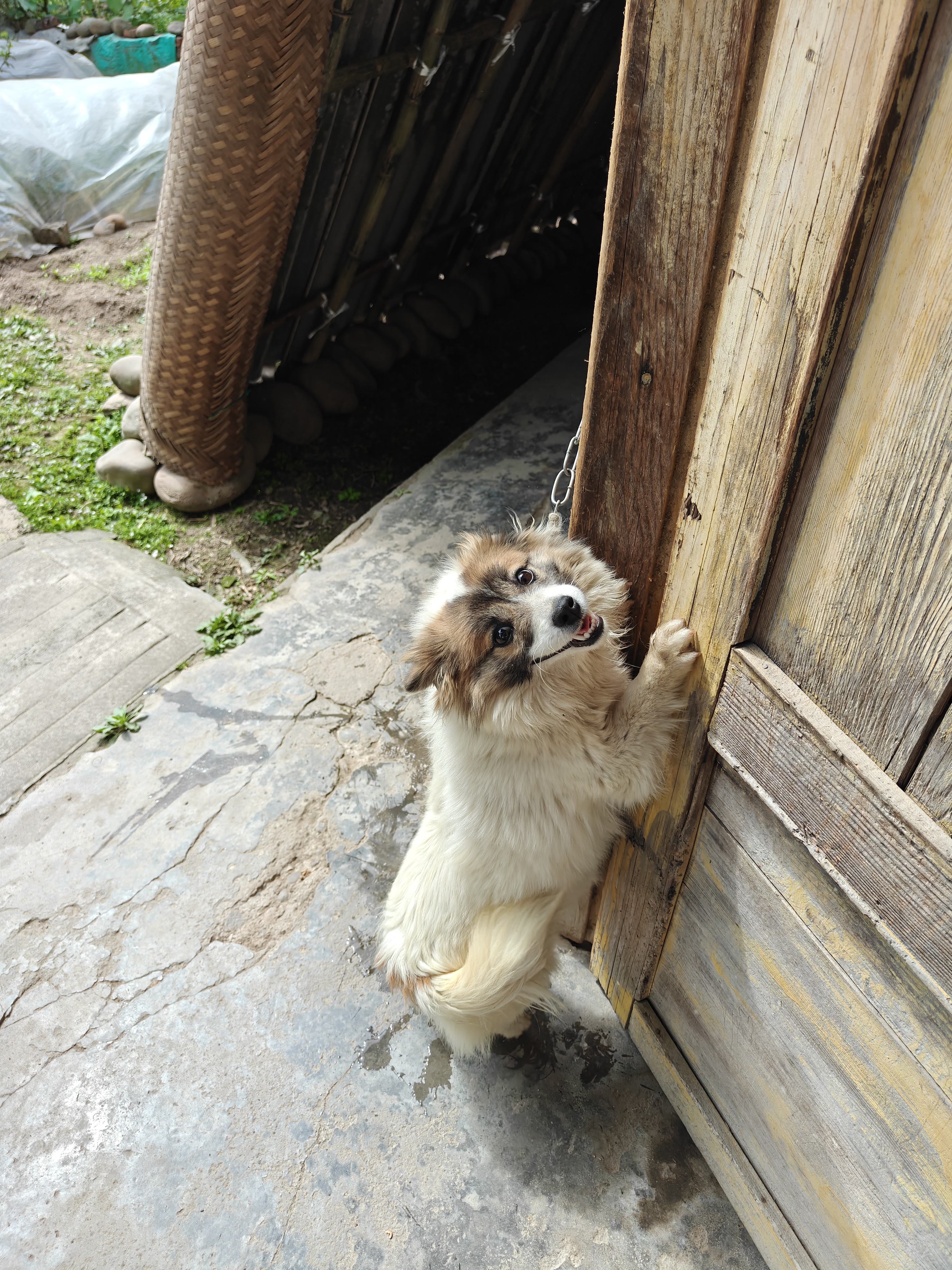 图片附件