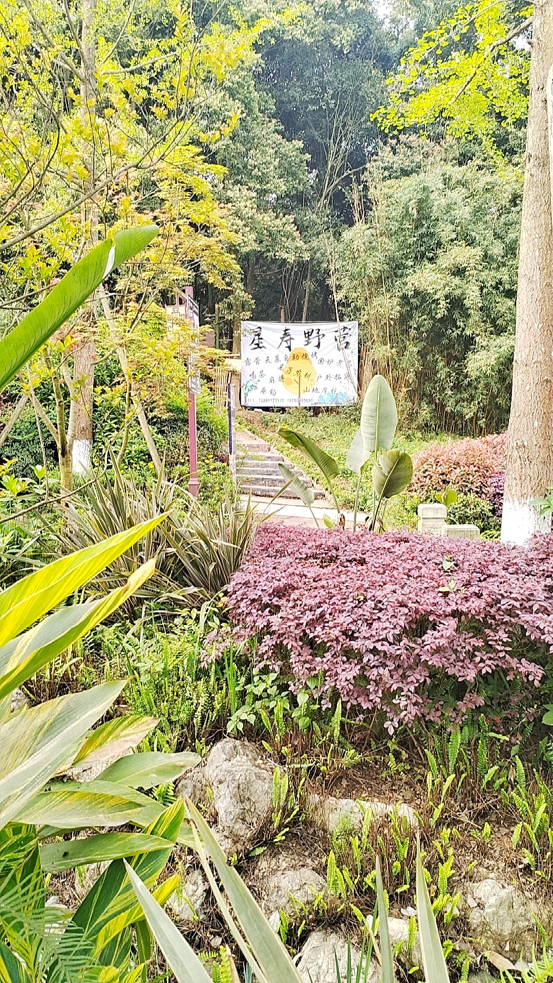 图片附件
