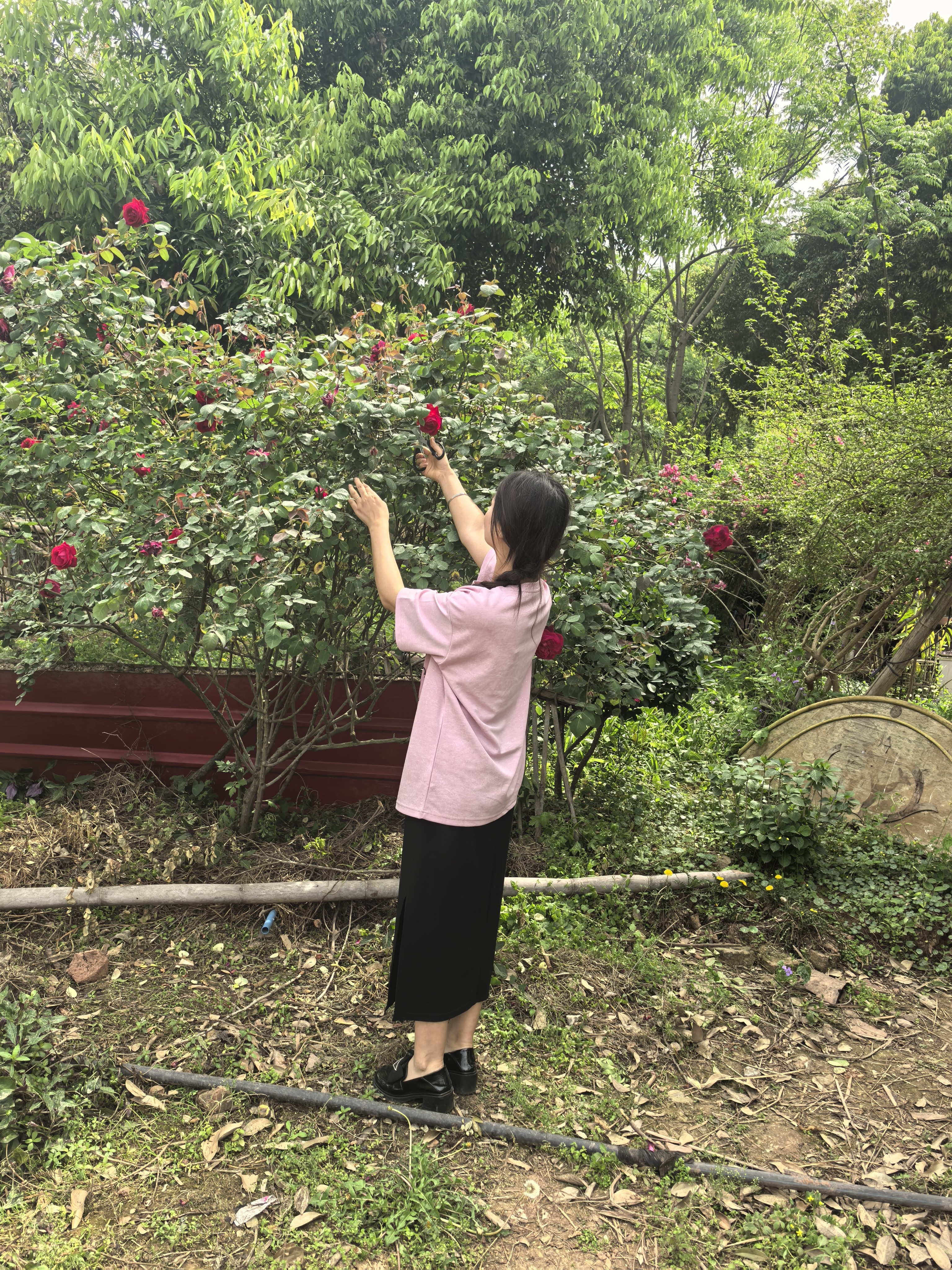 图片附件