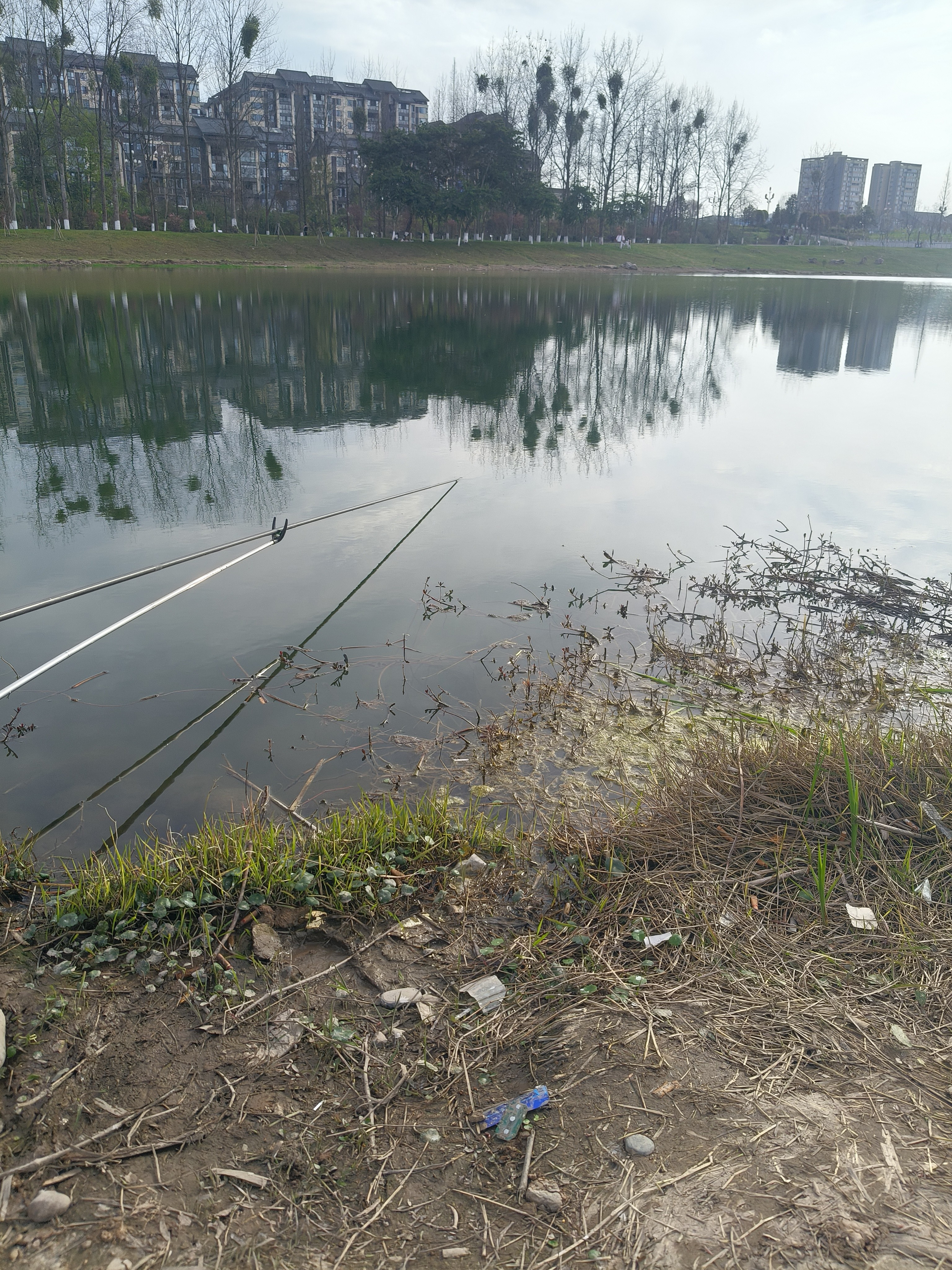 图片附件