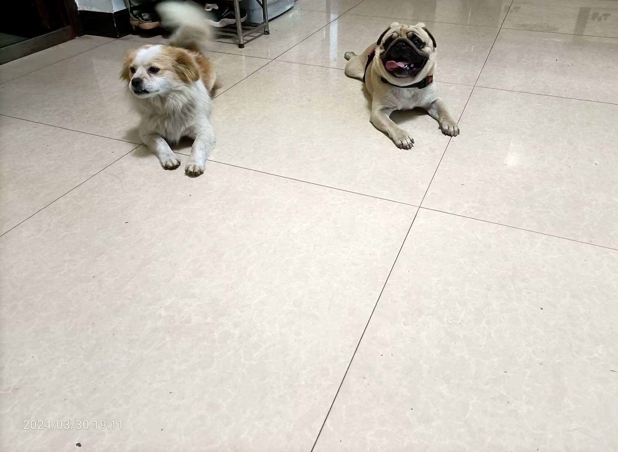 图片附件