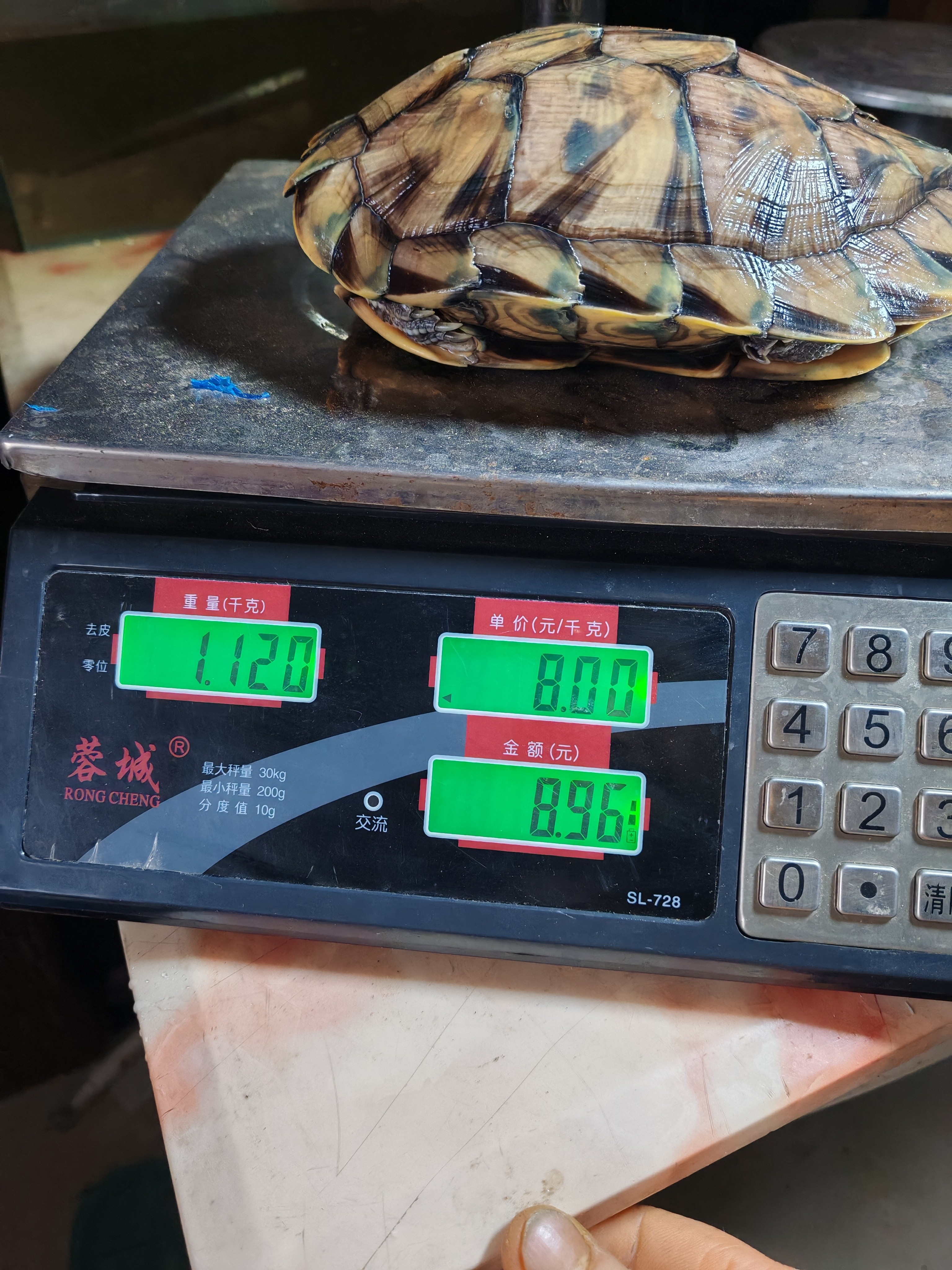 图片附件