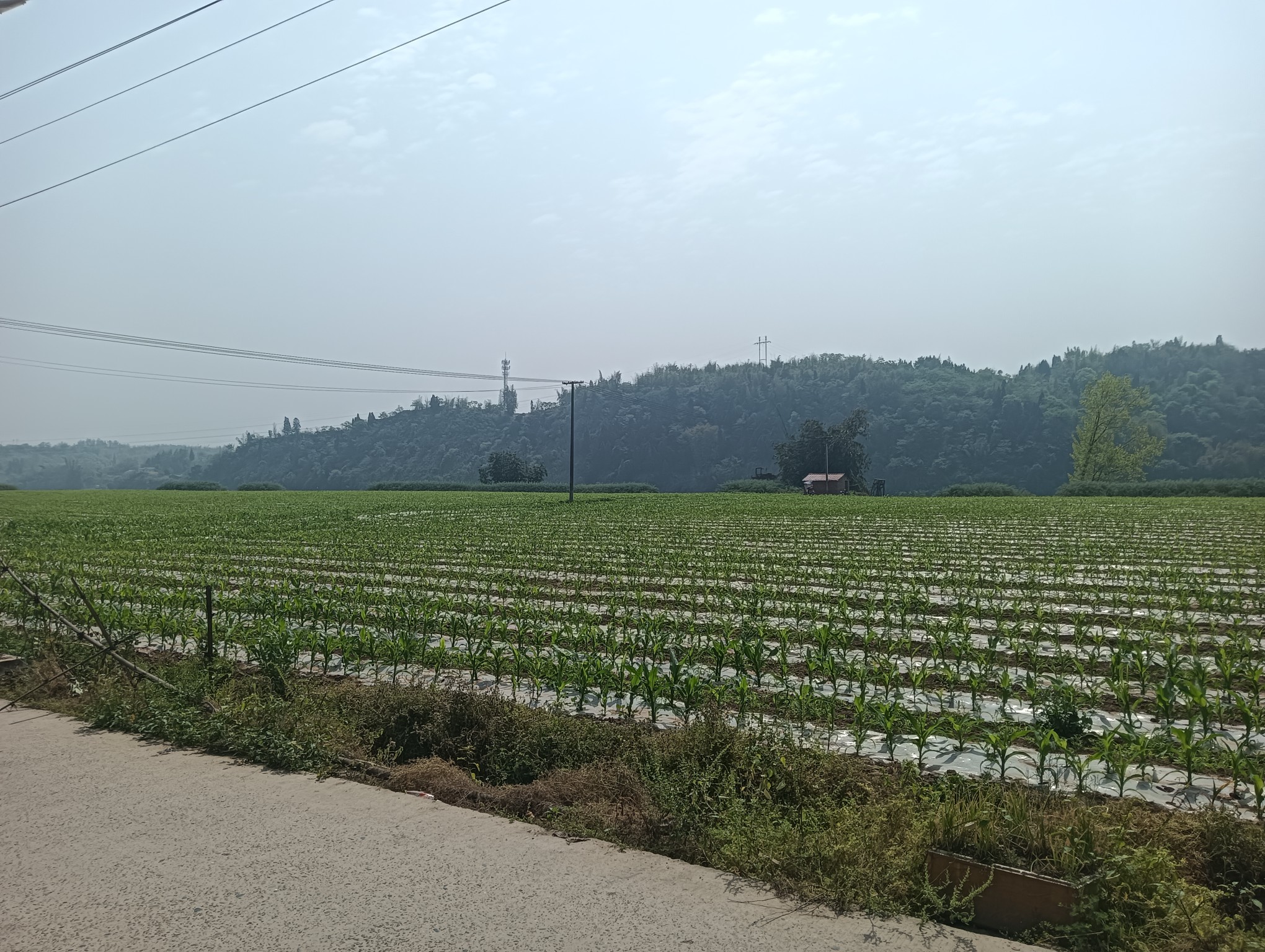 图片附件