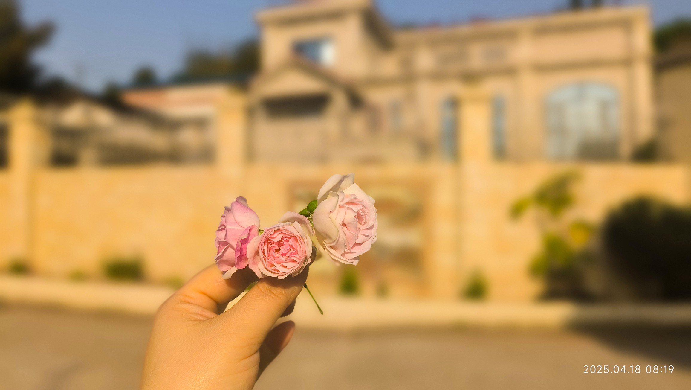 图片附件