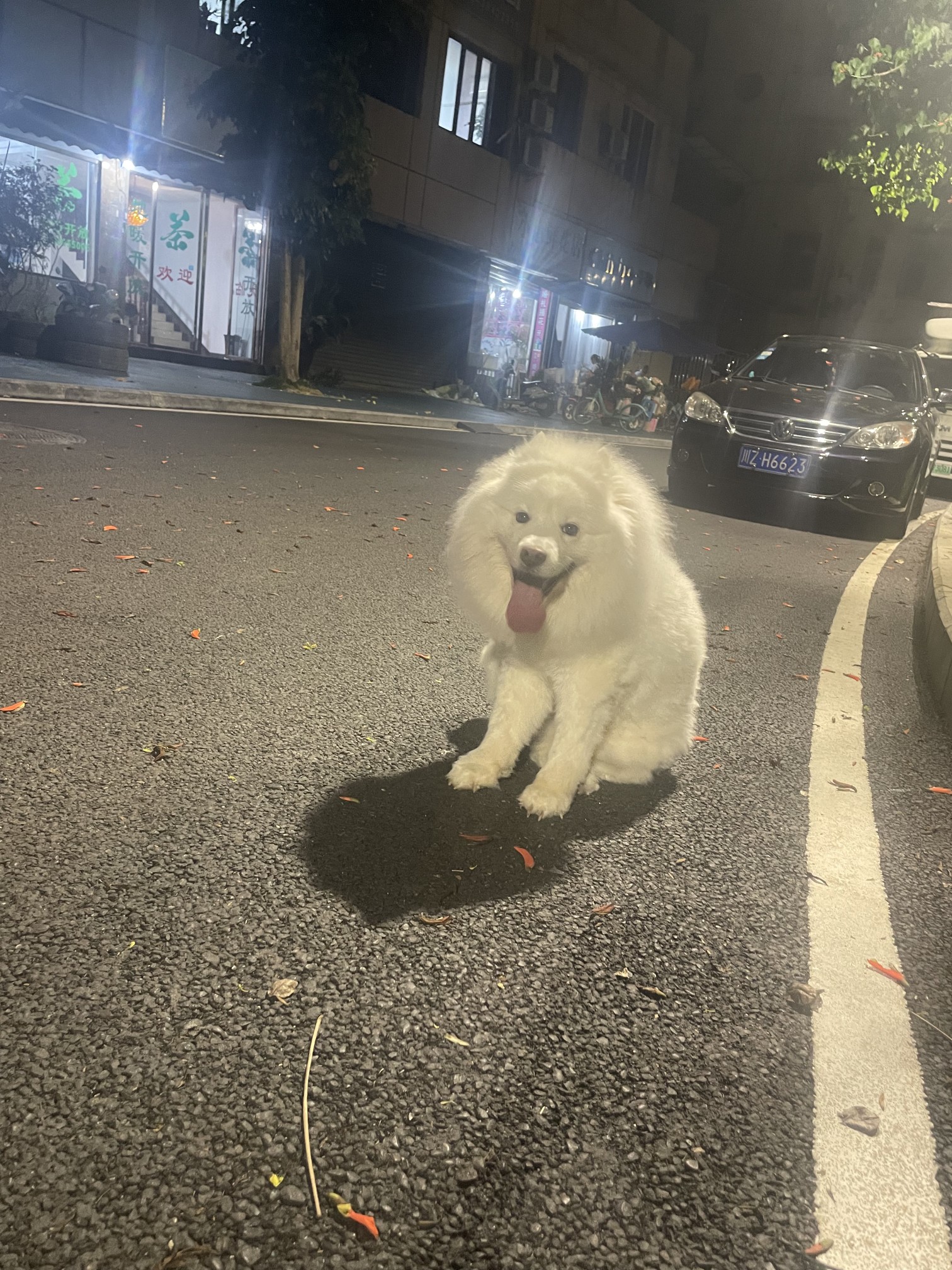 图片附件