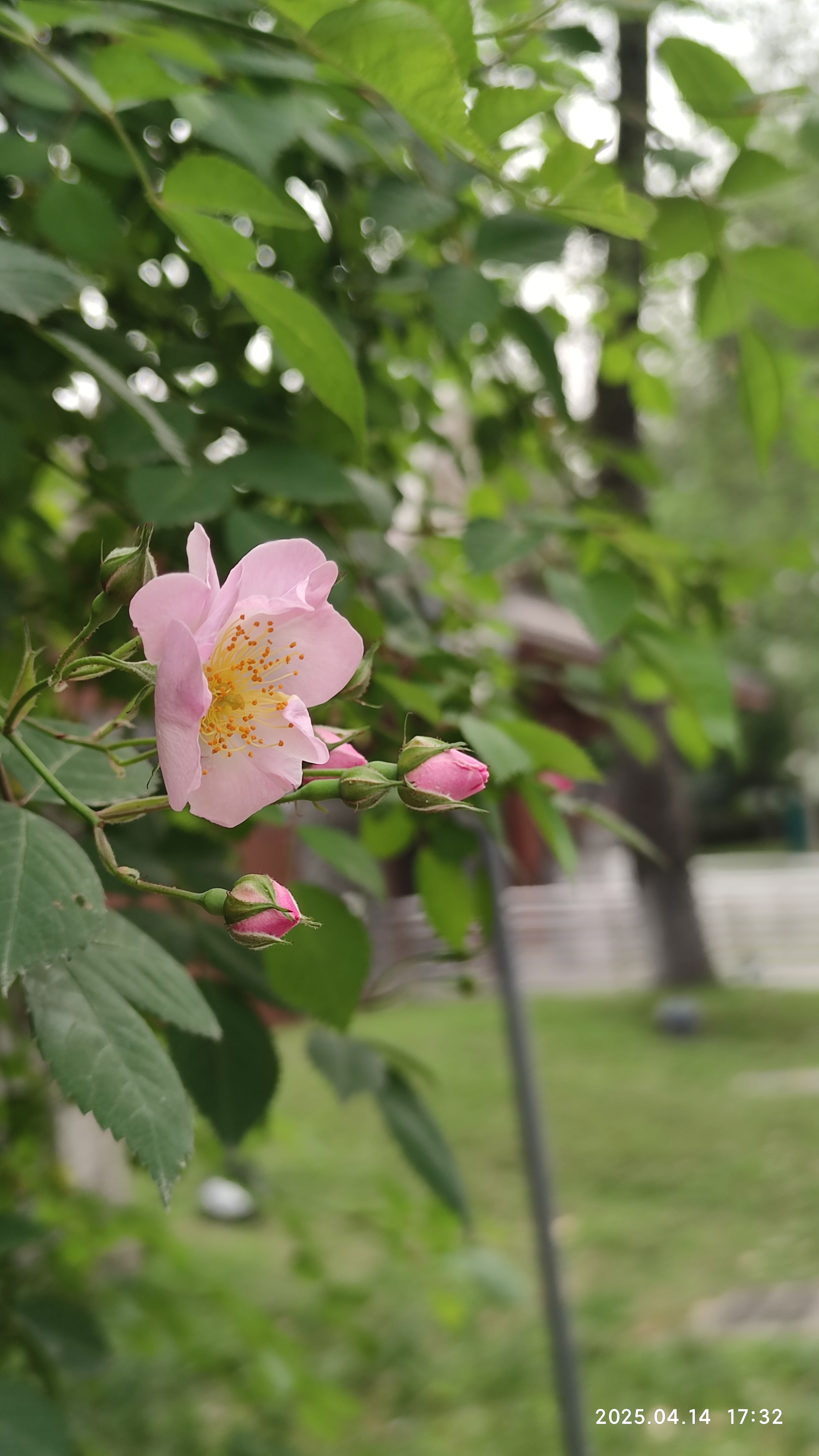 图片附件