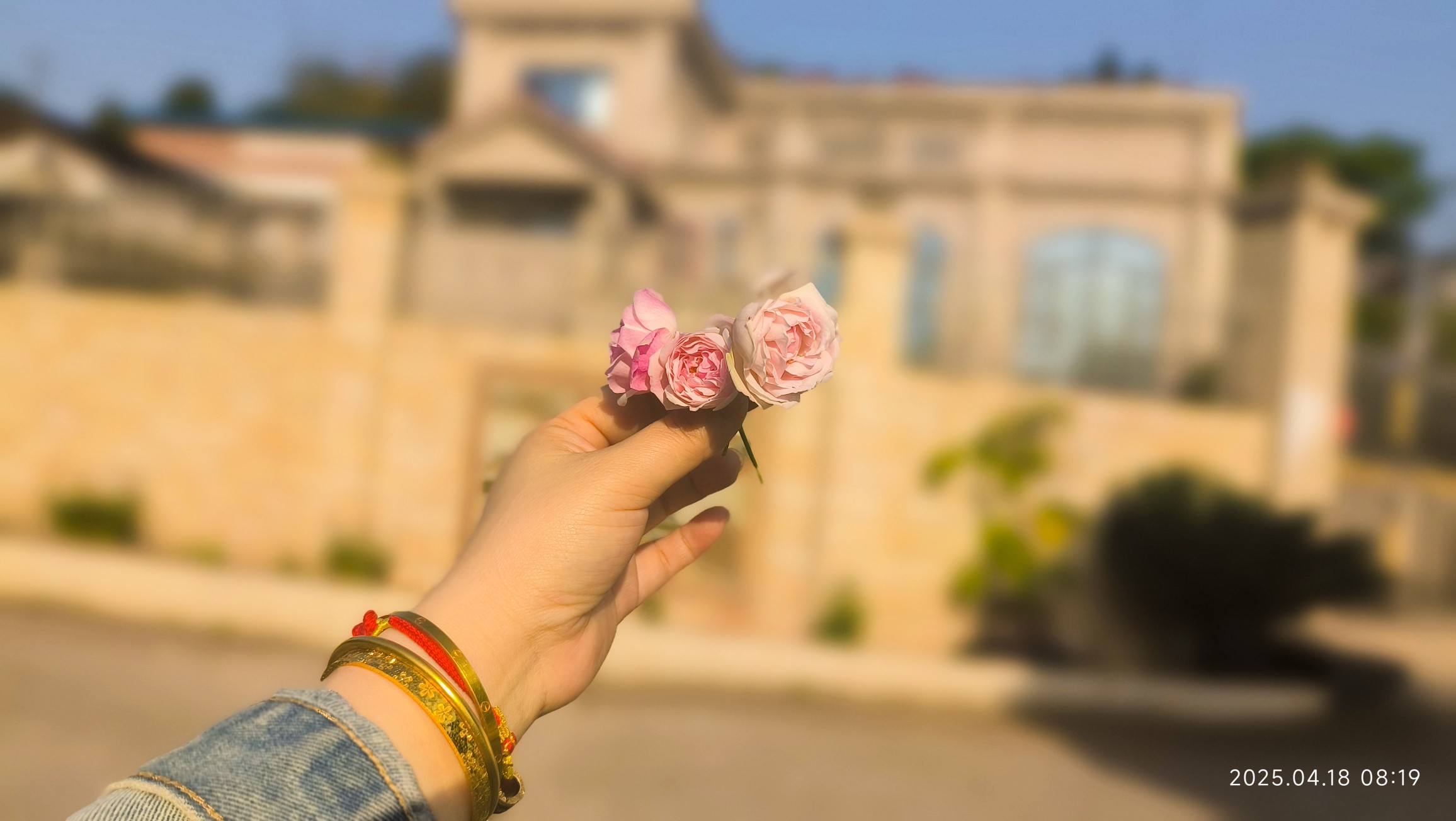 图片附件