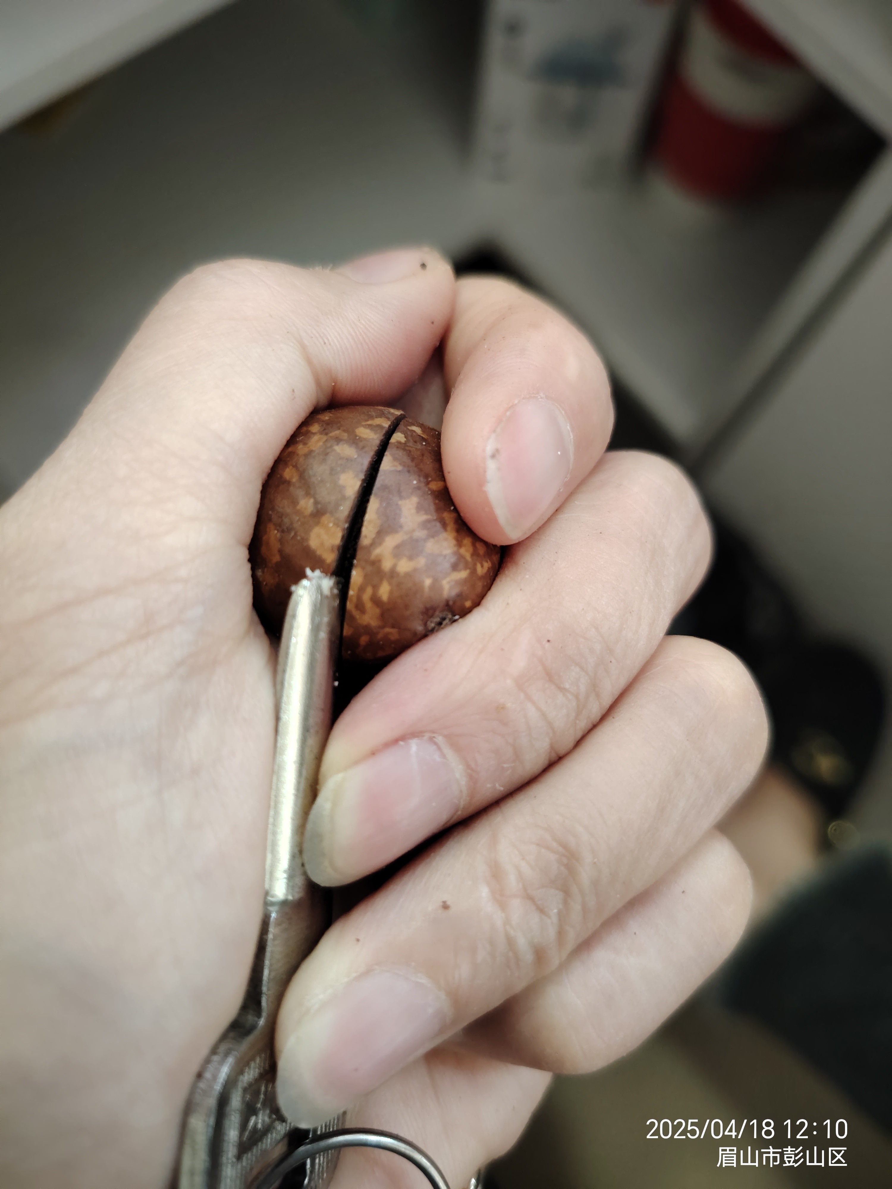 图片附件