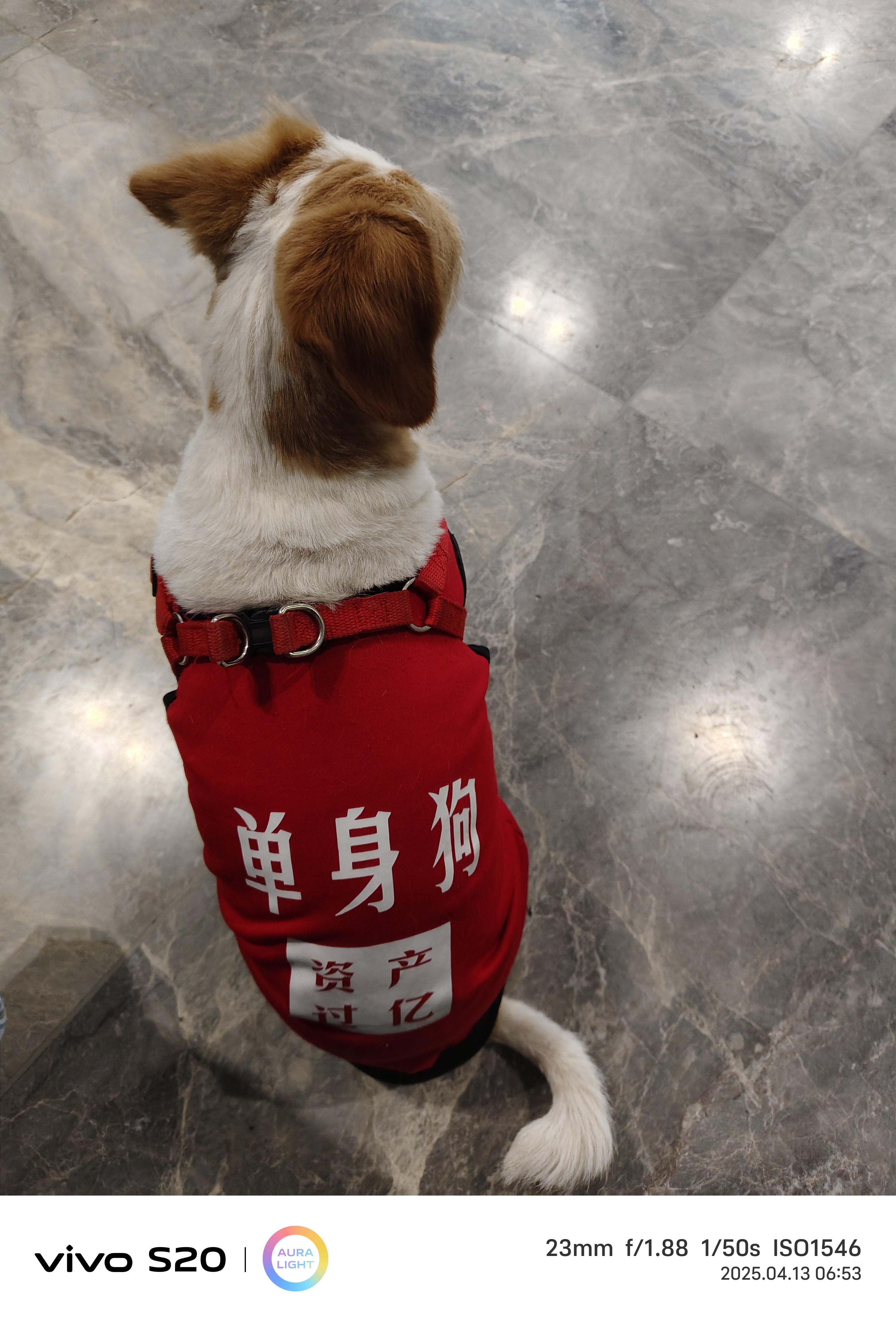 图片附件