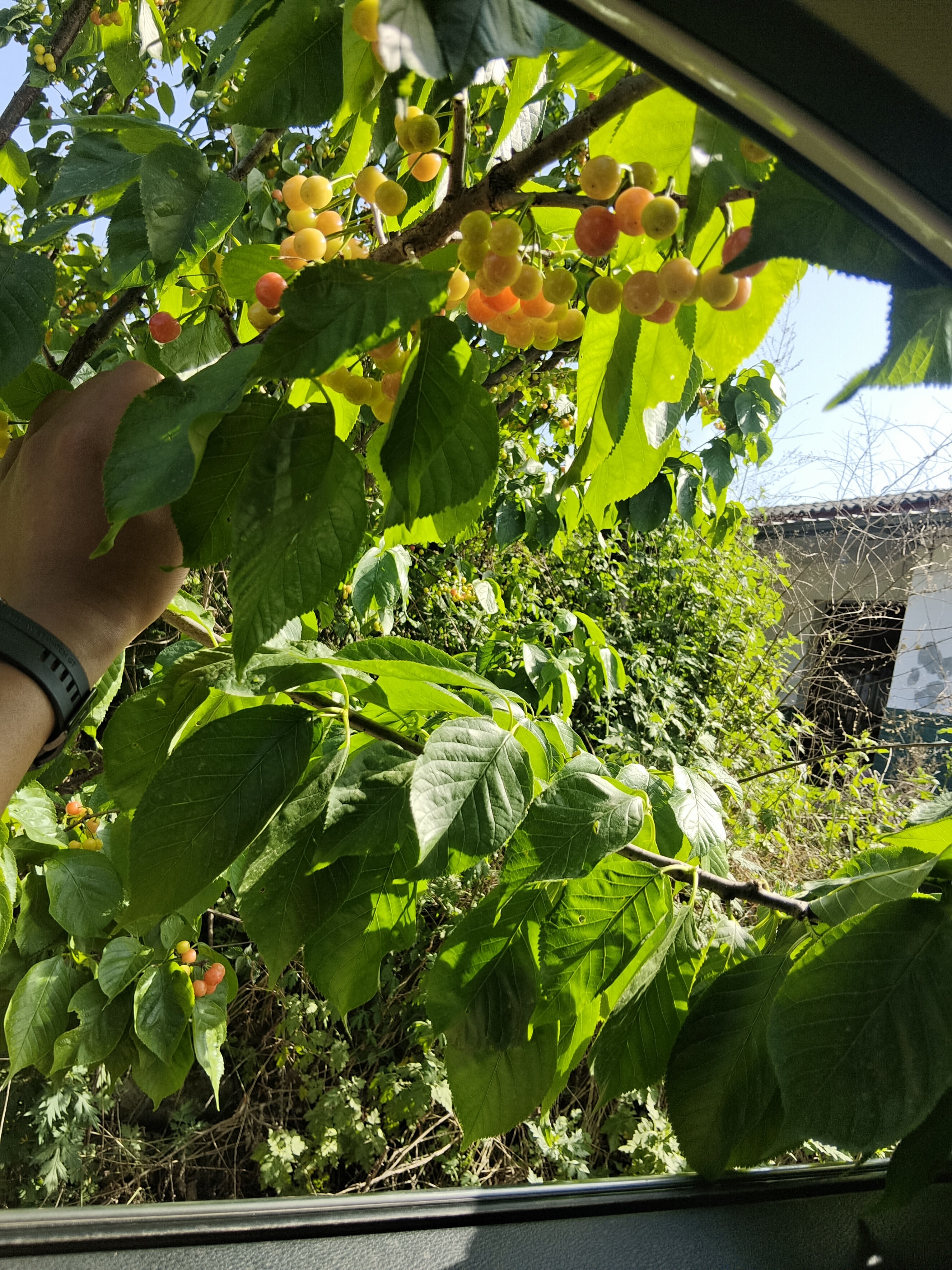 图片附件