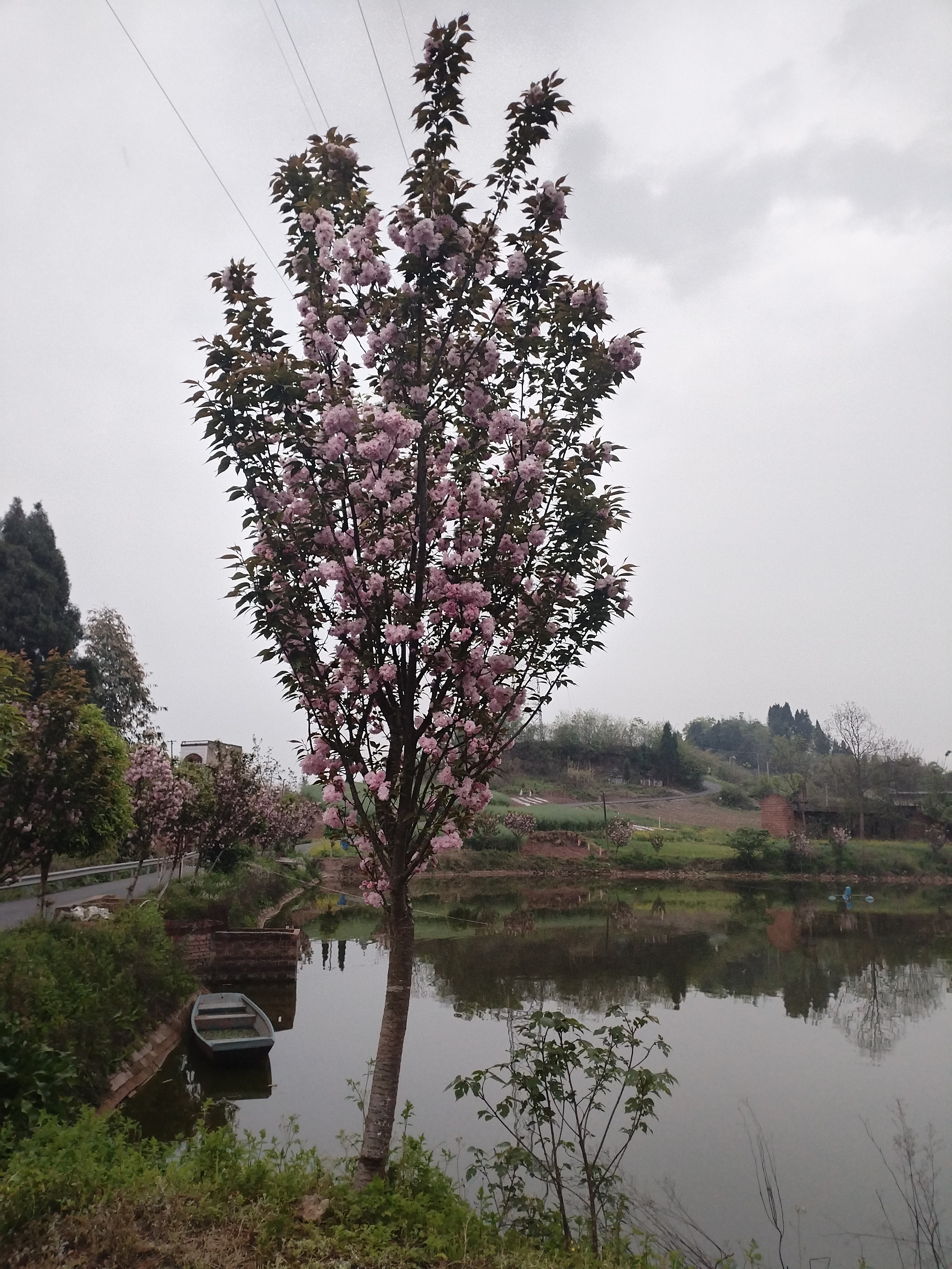 图片附件