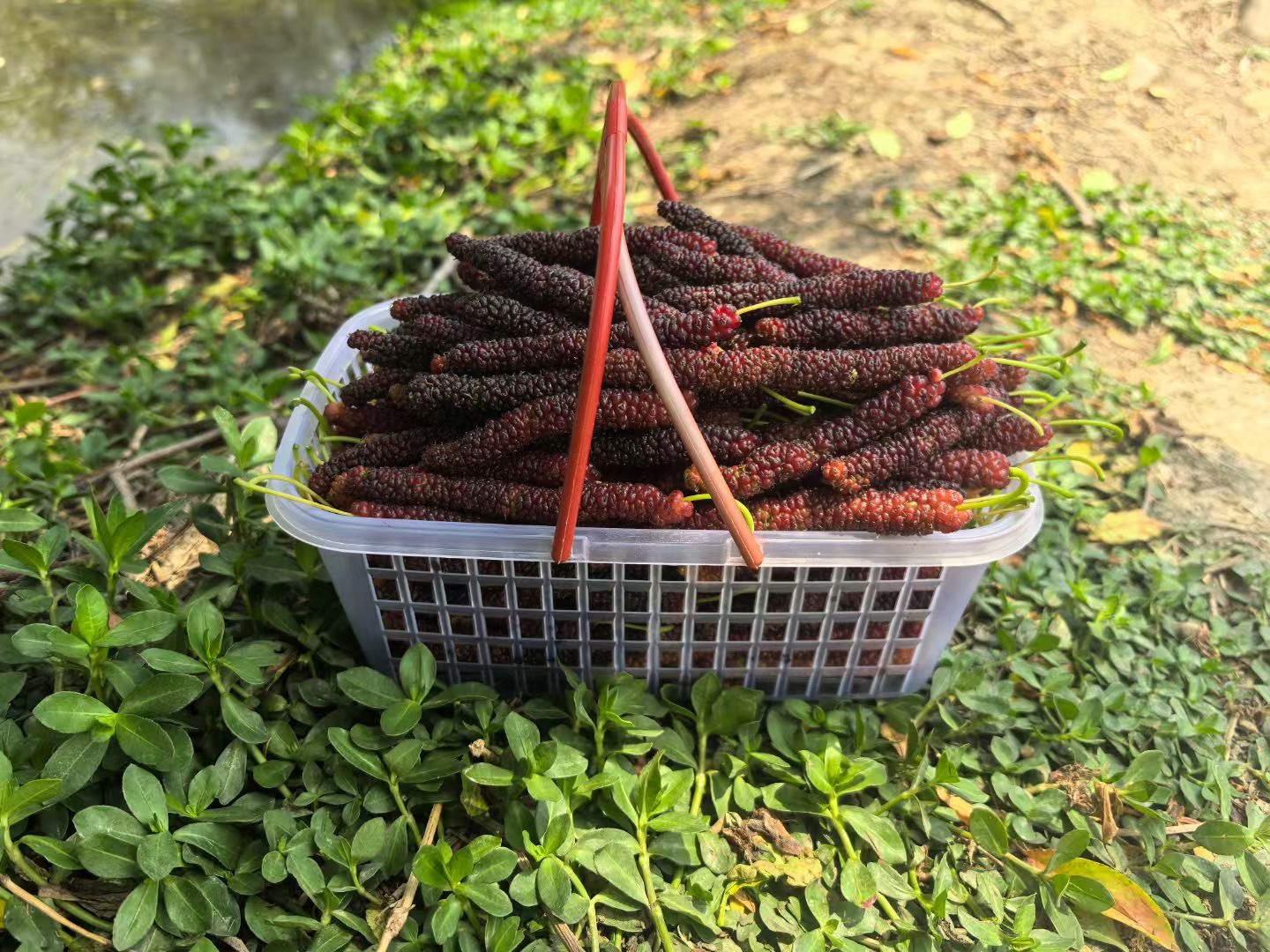 图片附件