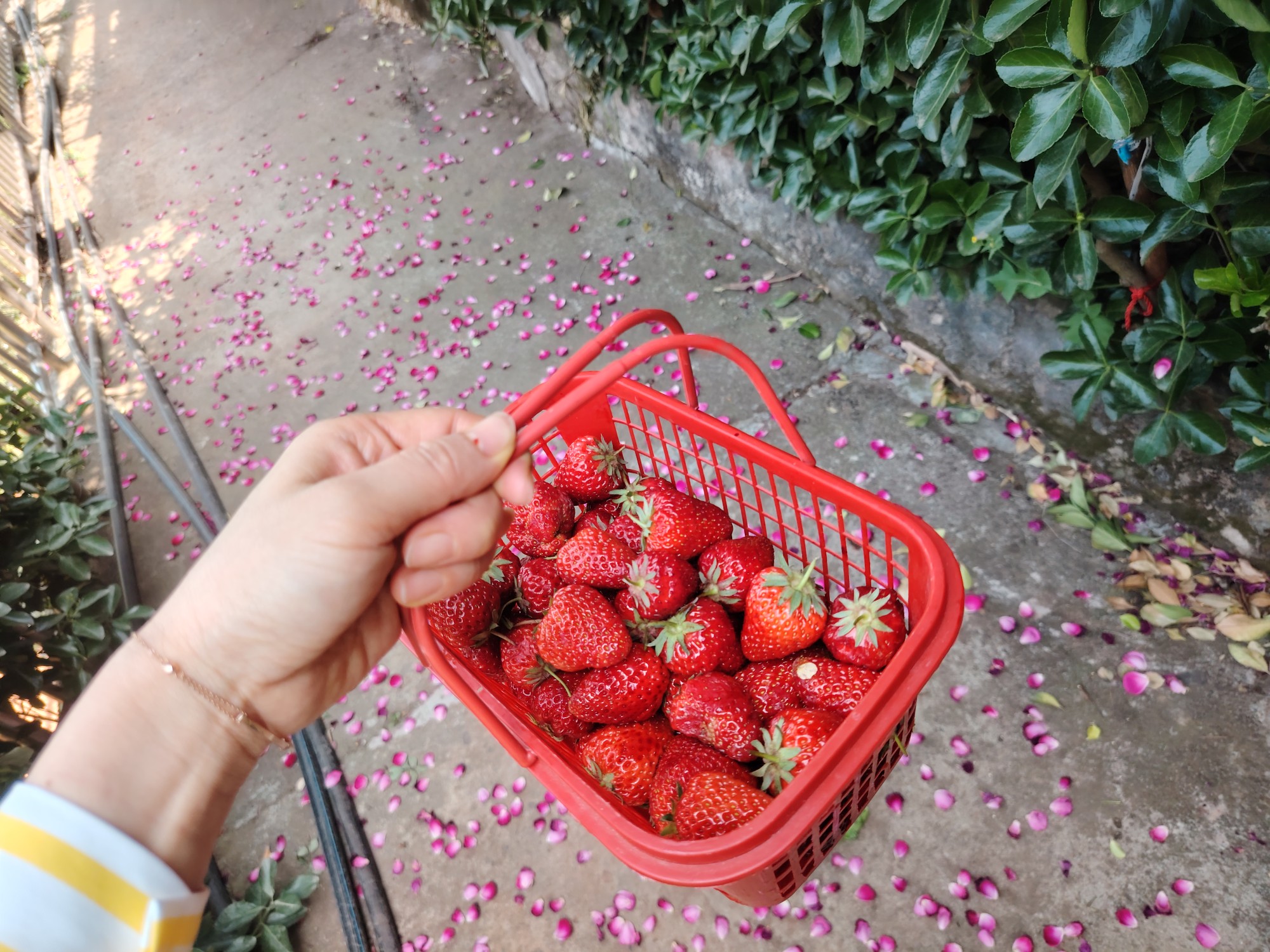 图片附件