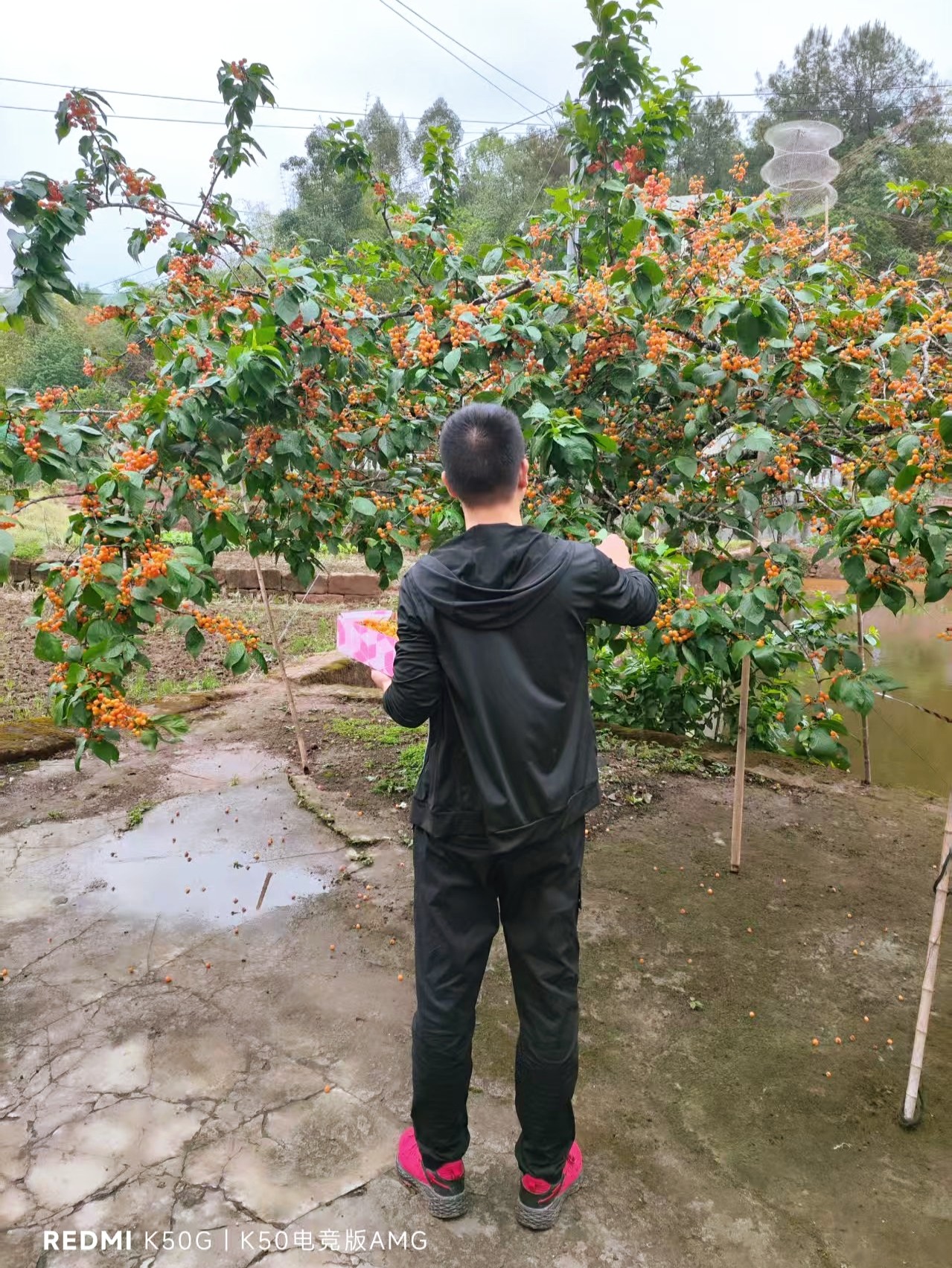 图片附件
