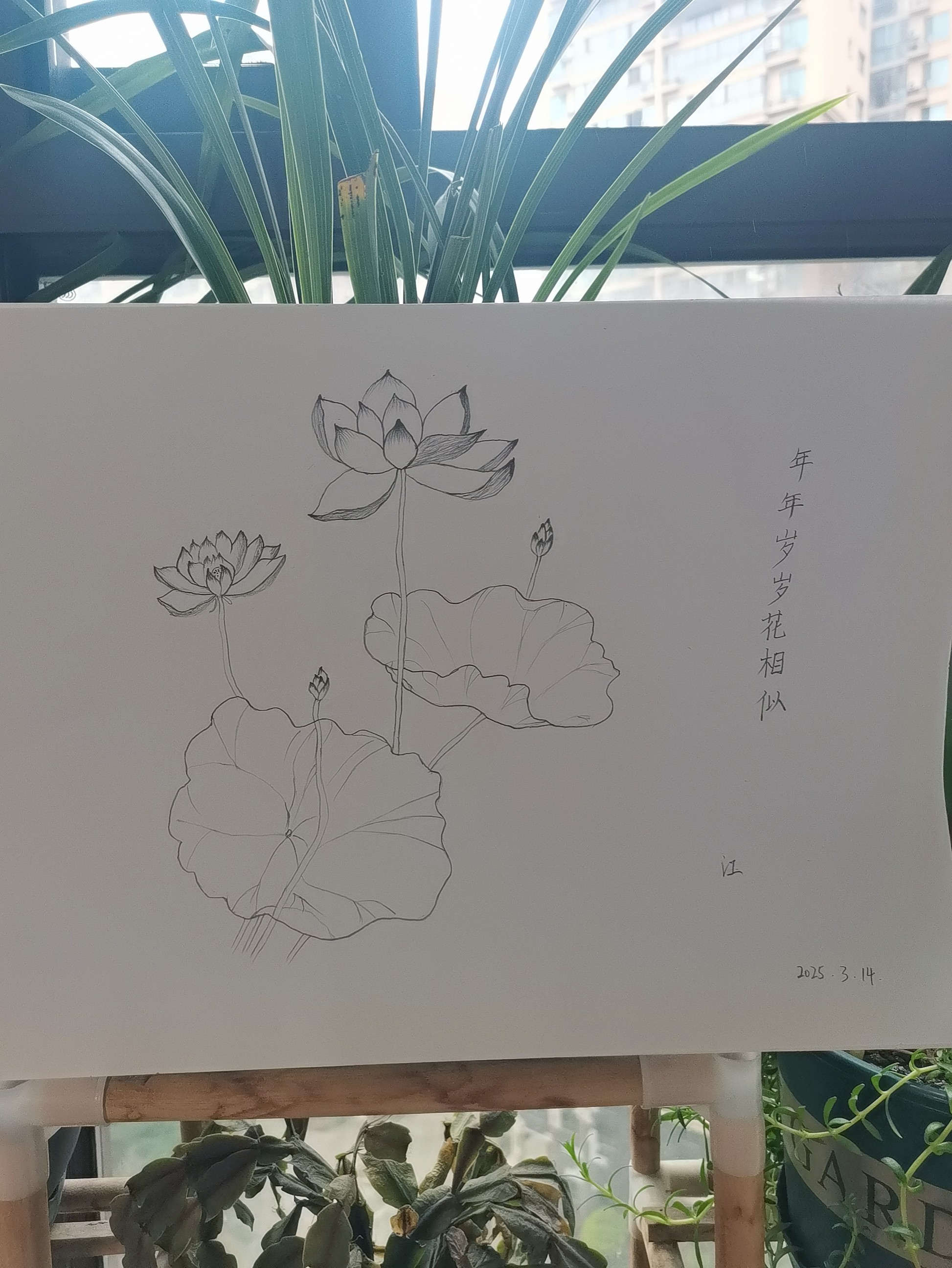 图片附件