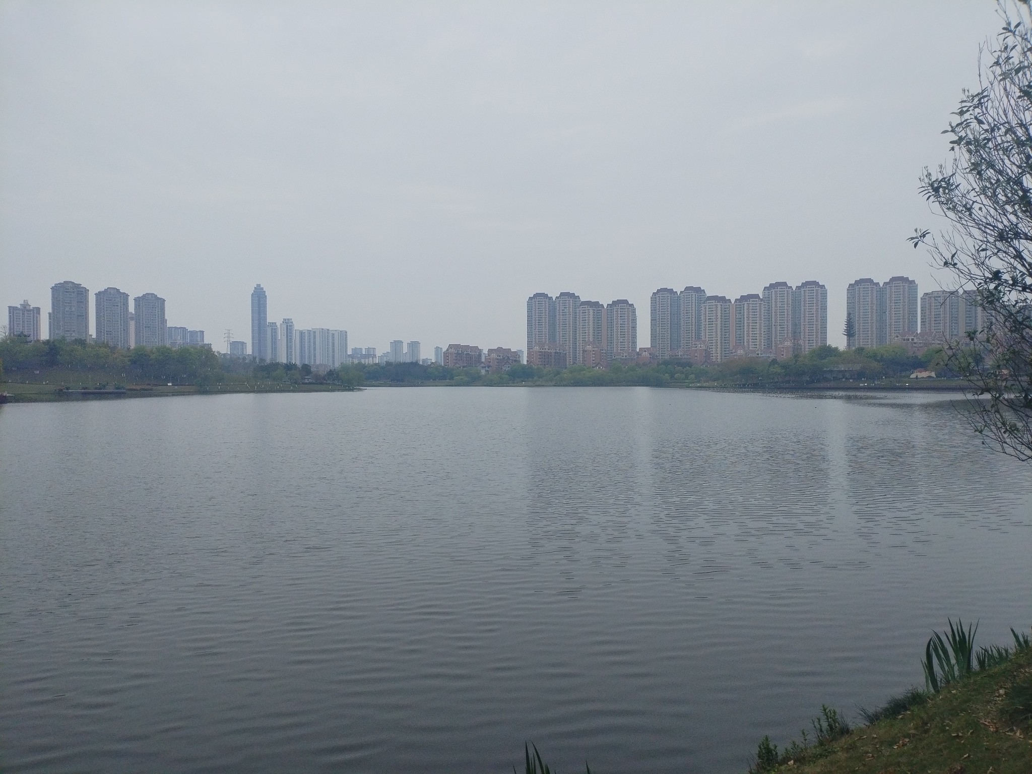 图片附件